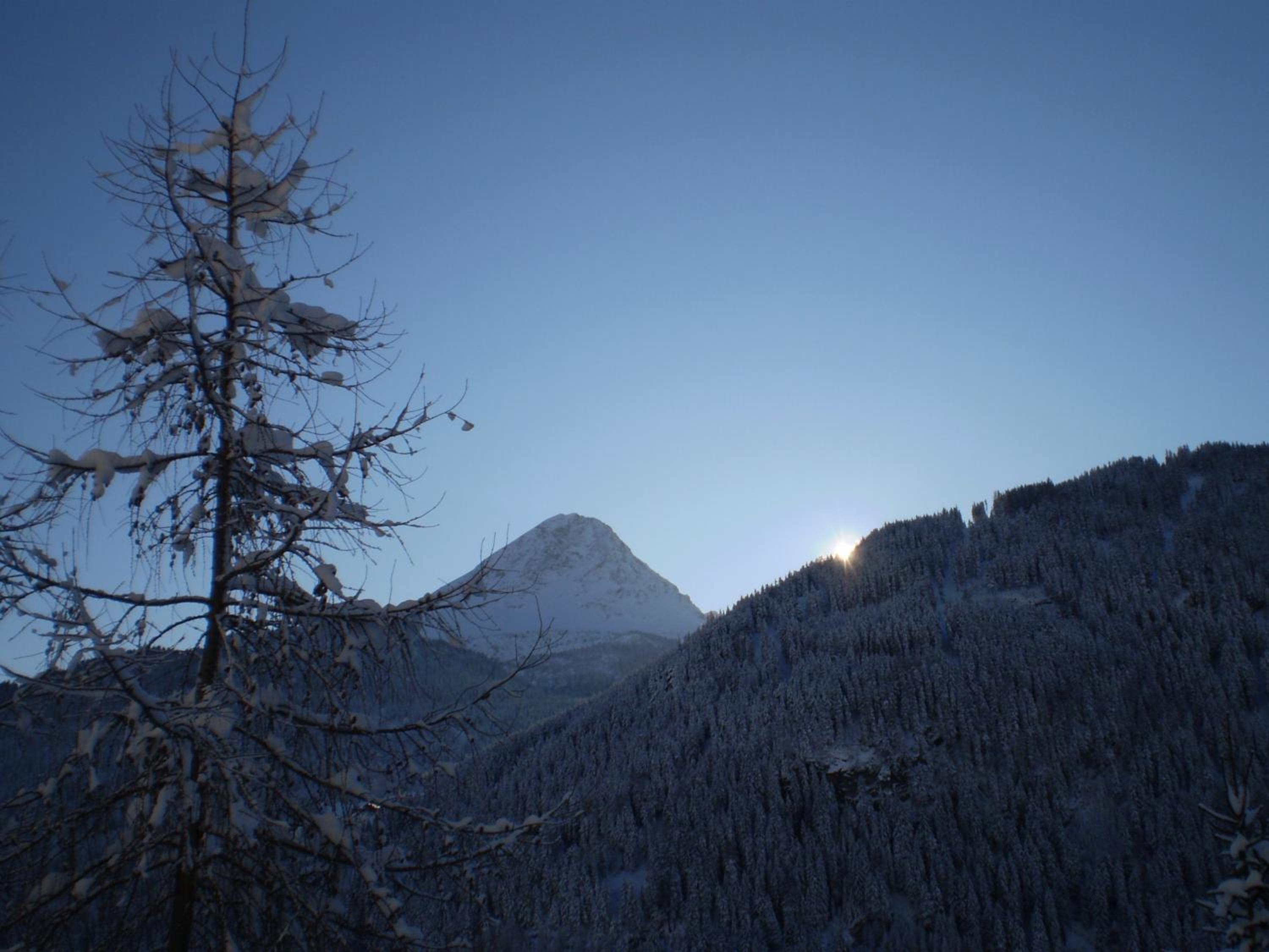 Photo 42
