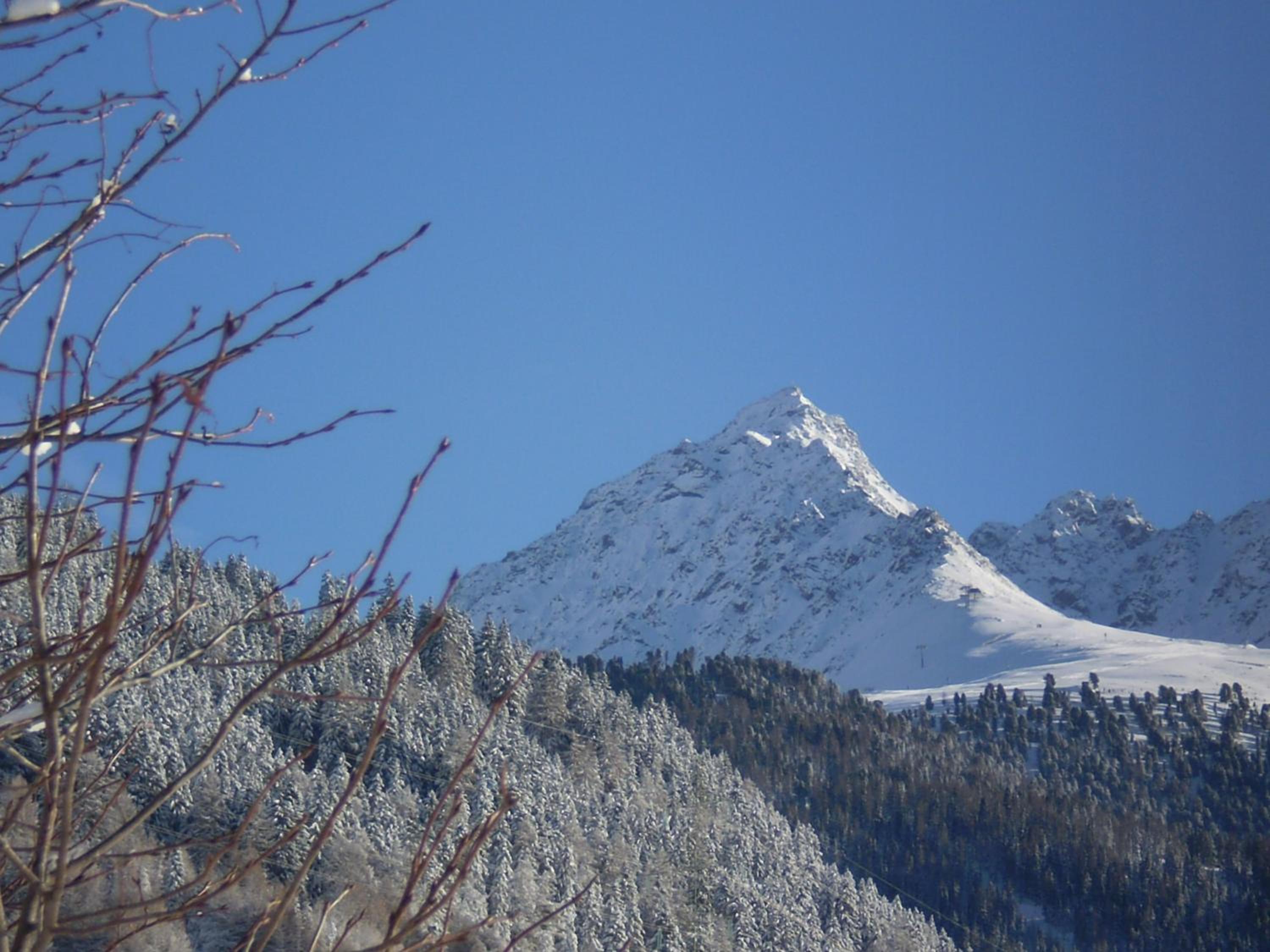 Photo 46
