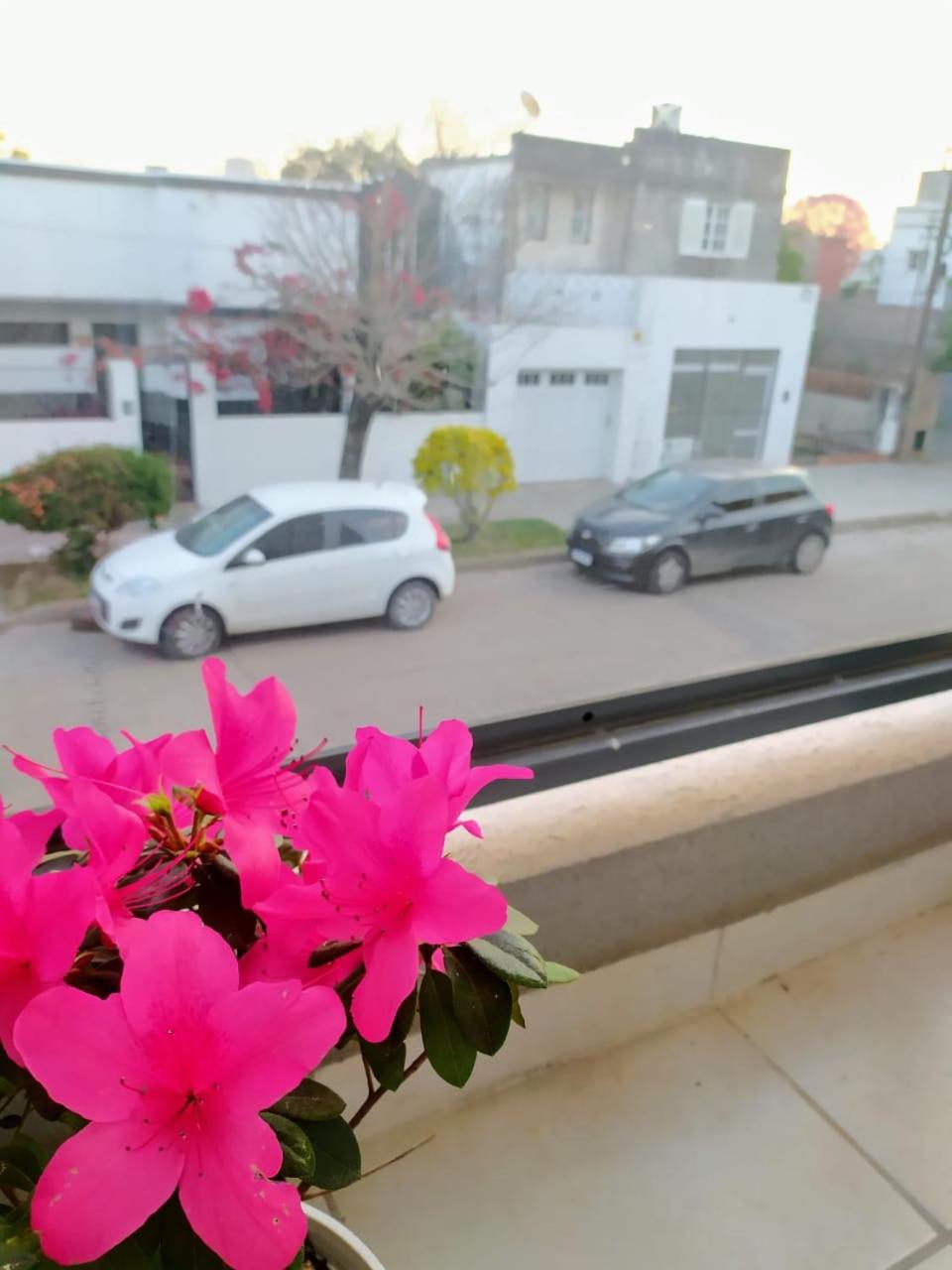 Departamento Santo Tome centrico