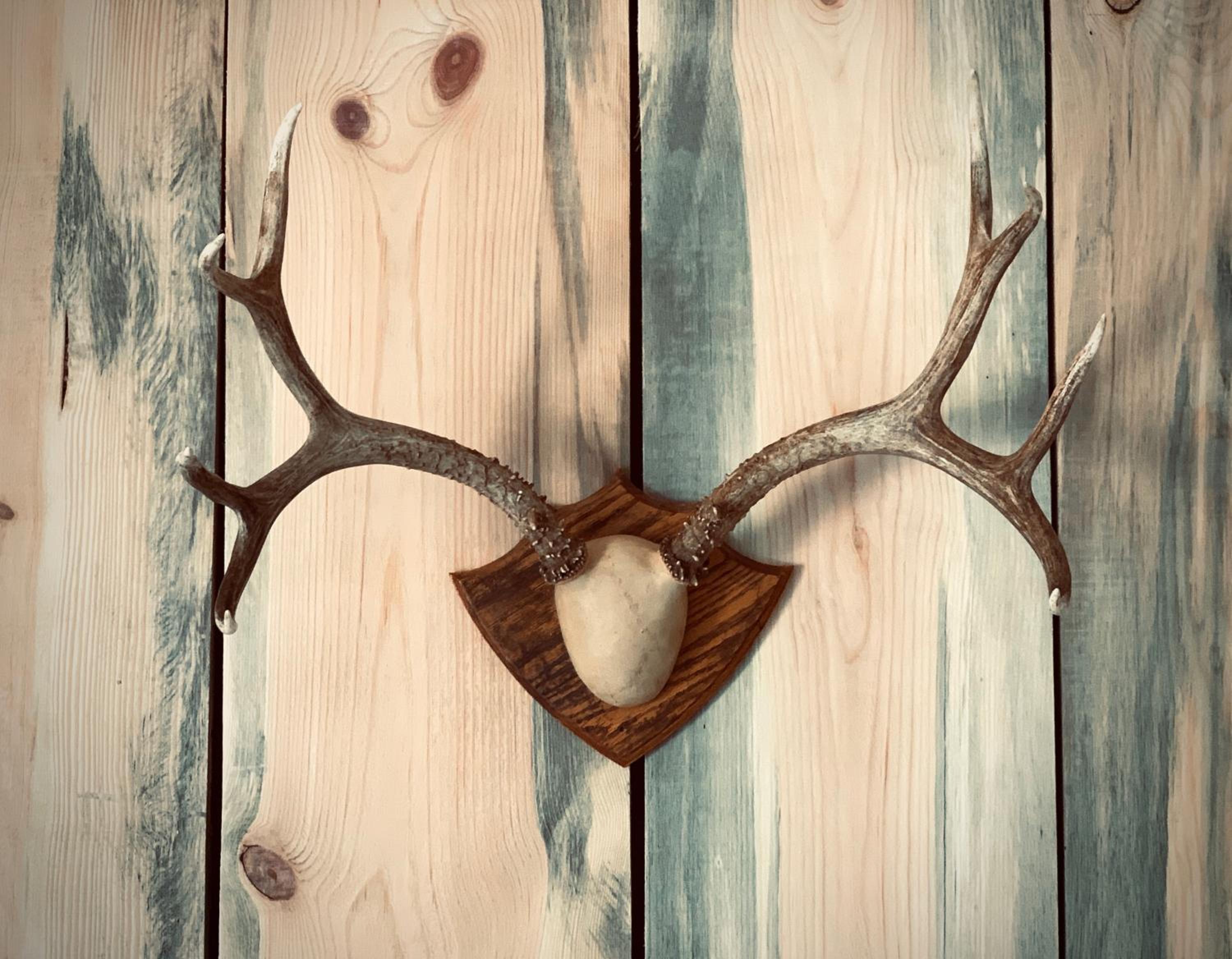 Sandpoint Vacations - Outdoors Inn - Property Image 5