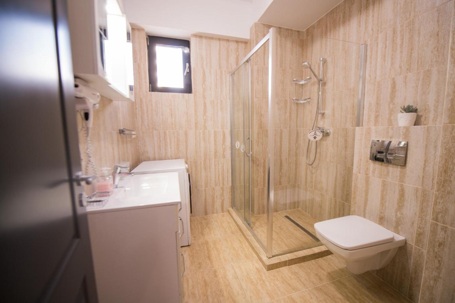 Apartament Camelia view 4