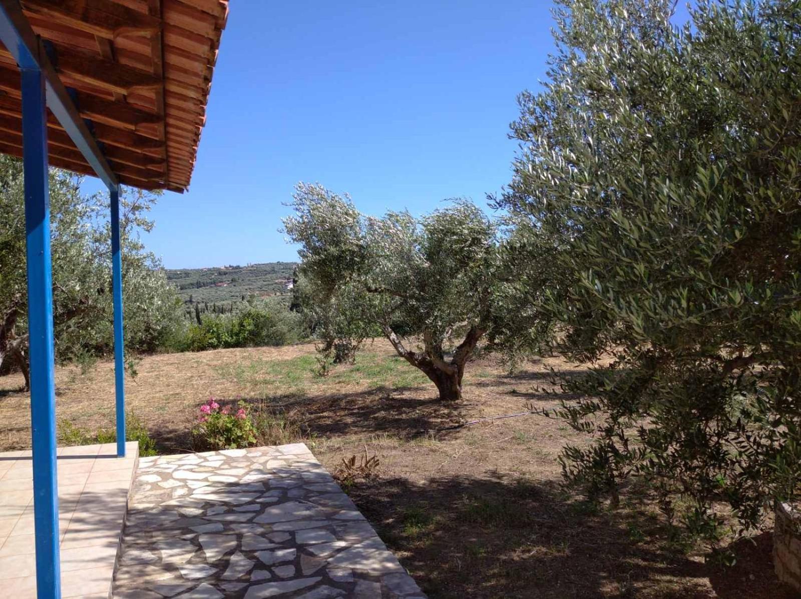 Aggeliki House 3 view 2
