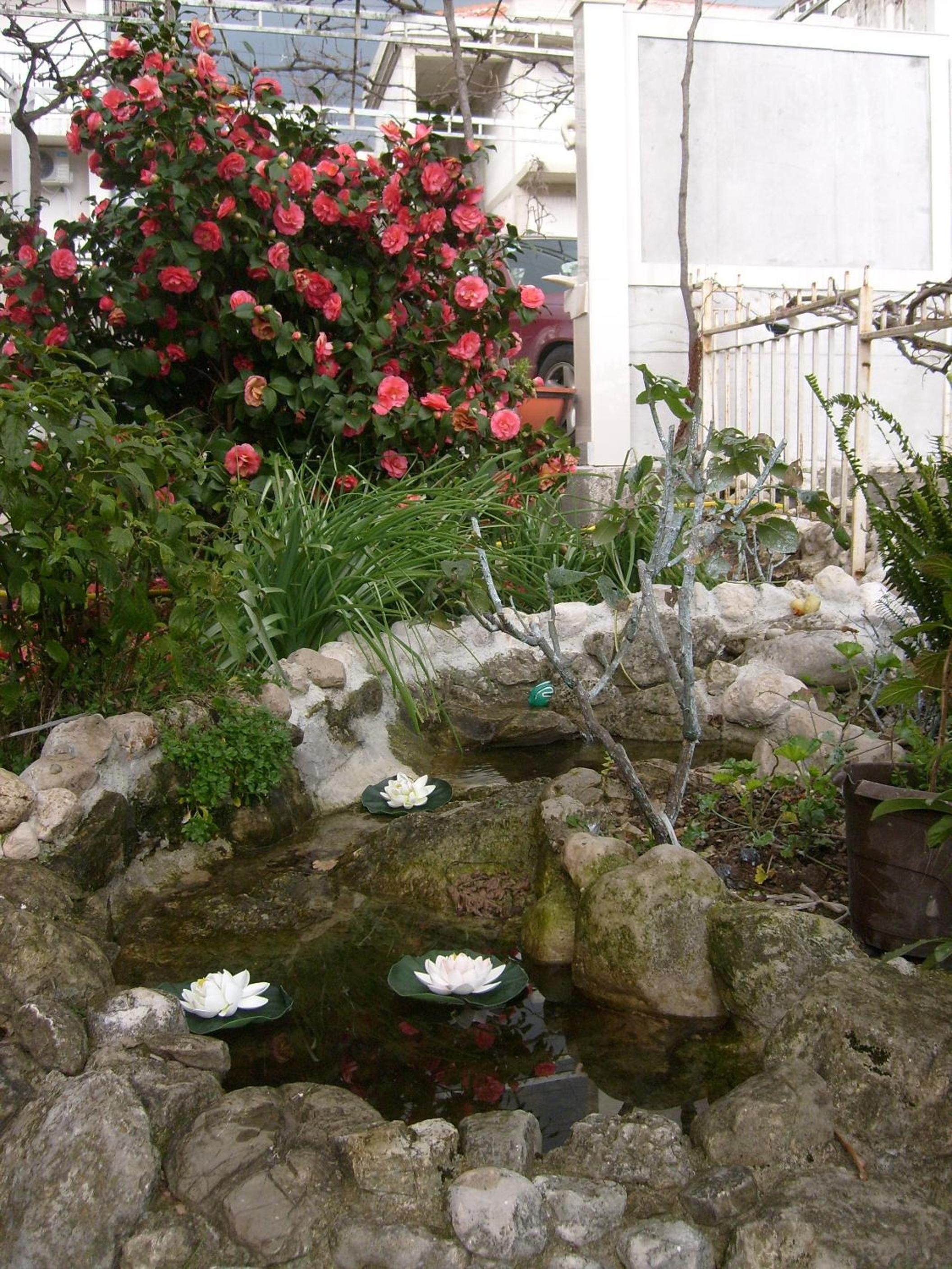 Photo 29