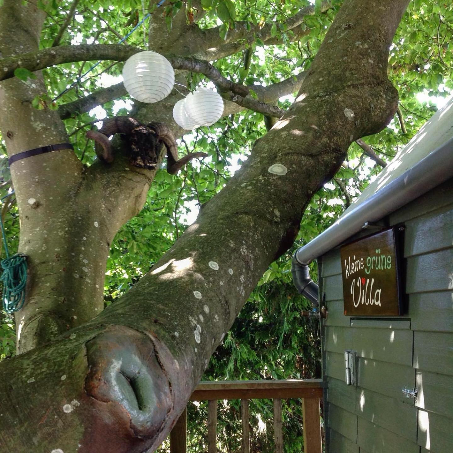 Treehouse escape