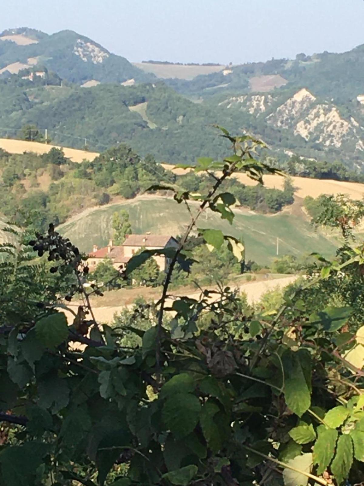Monte Bibele