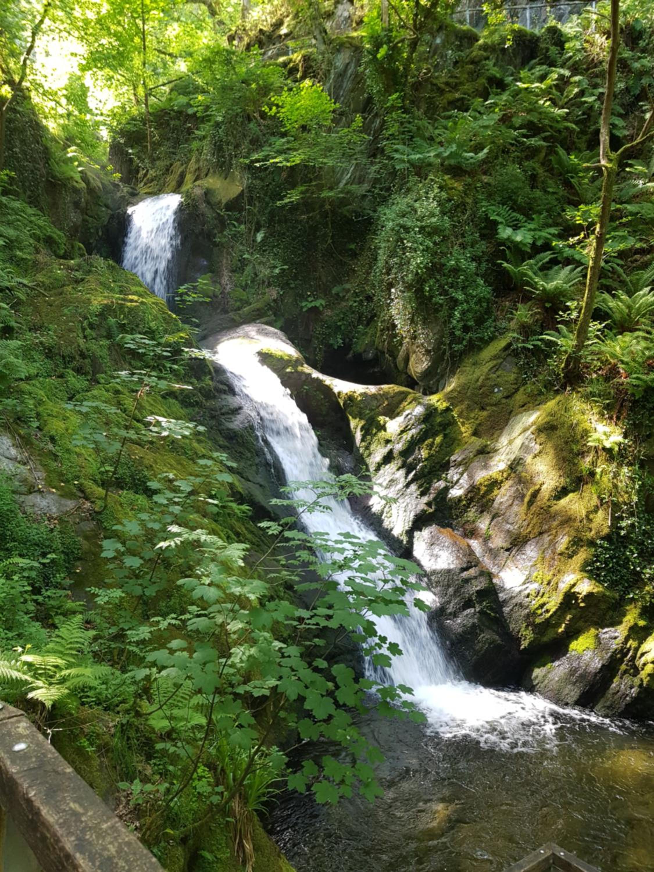 Photo 41