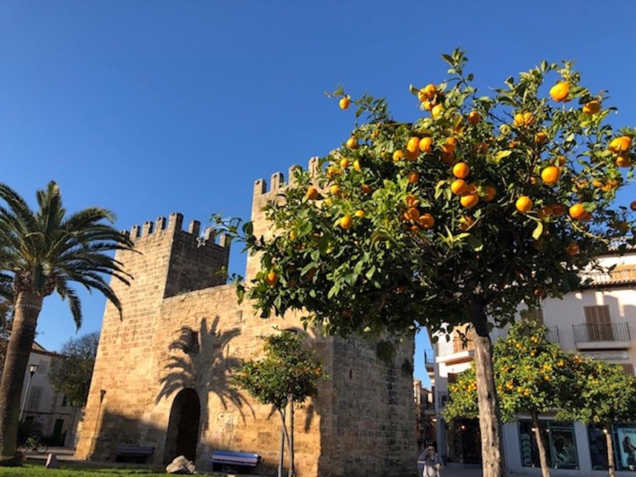 Casa Sa Pedra, en el Centro Histórico de Alcudia view 3