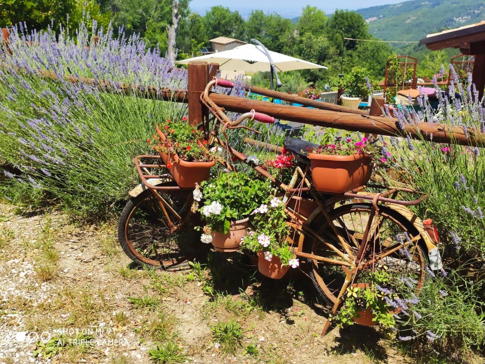 Country House Antiche Dimore
