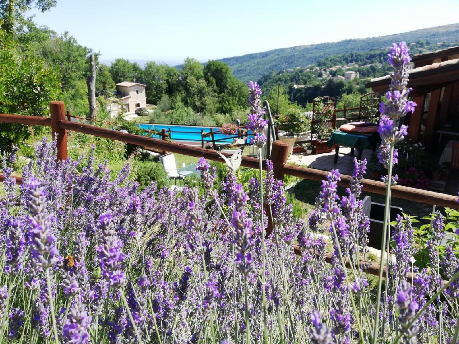 Country House Antiche Dimore