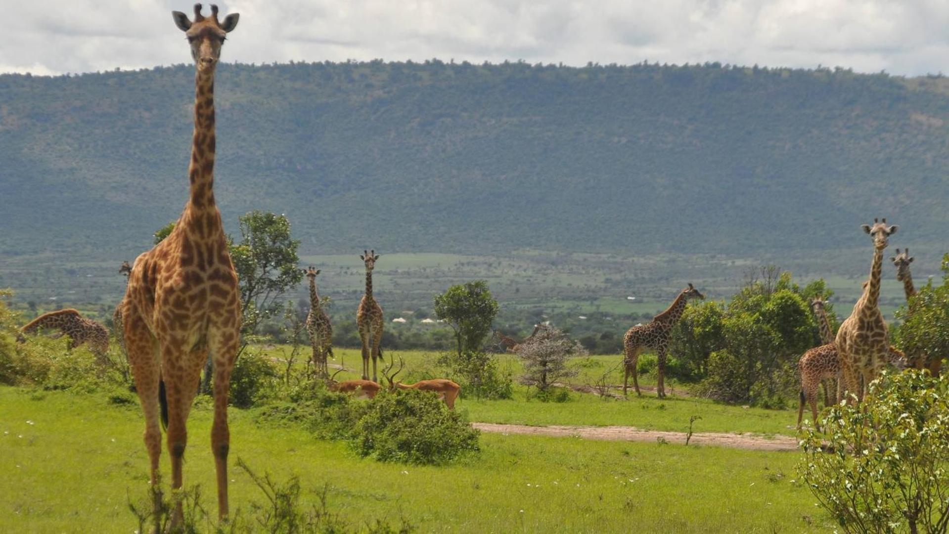 Osero Lodge view 3
