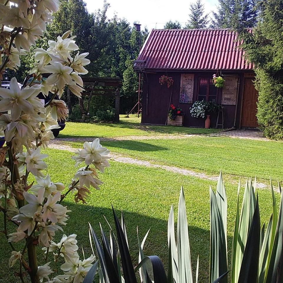 Photo 29