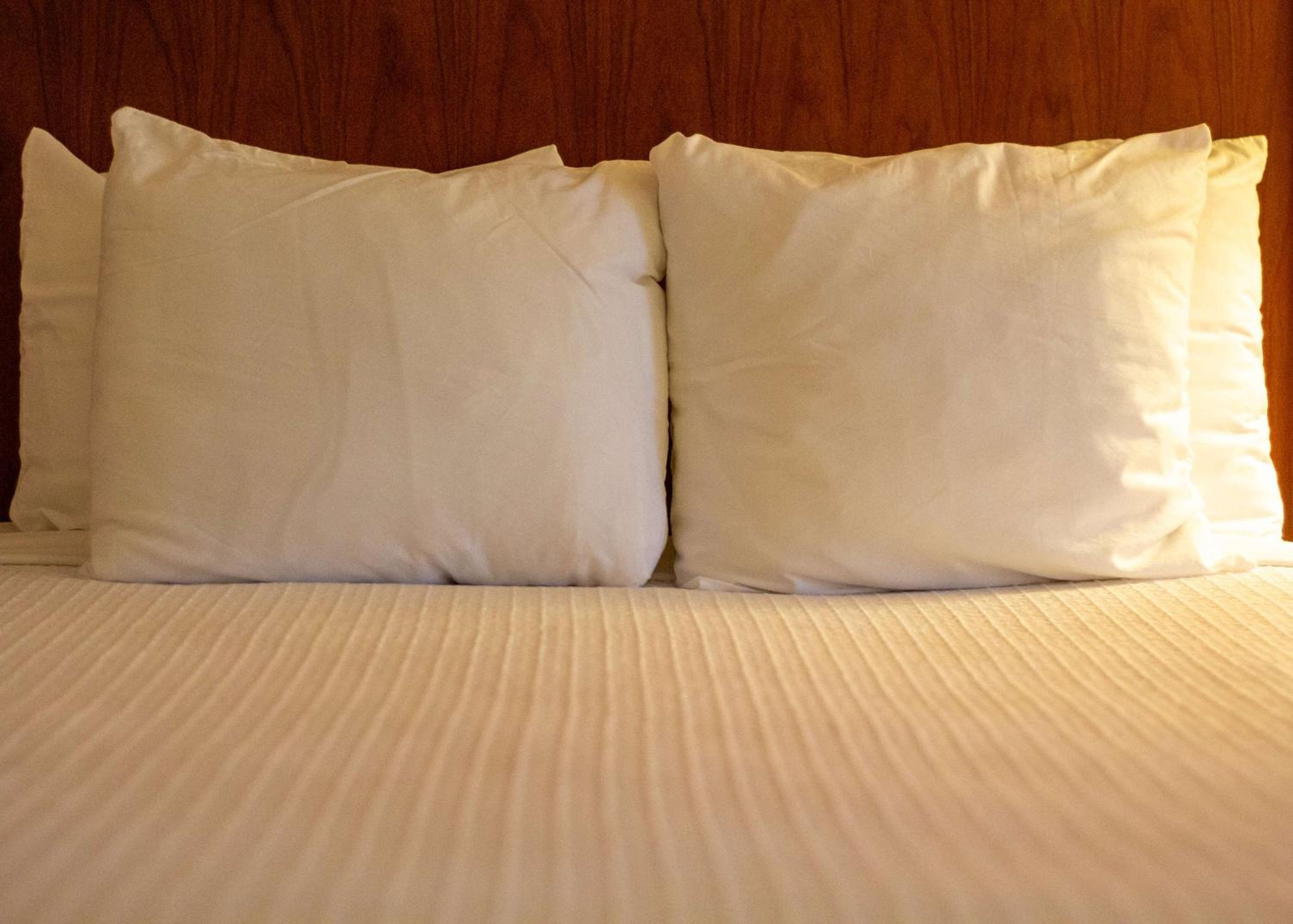 Kingman Vacations - Best Western Plus A Wayfarer's Inn  Suites - Property Image 6