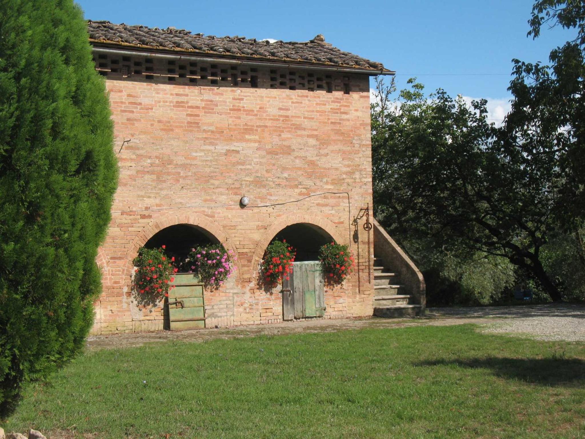 Photo 31