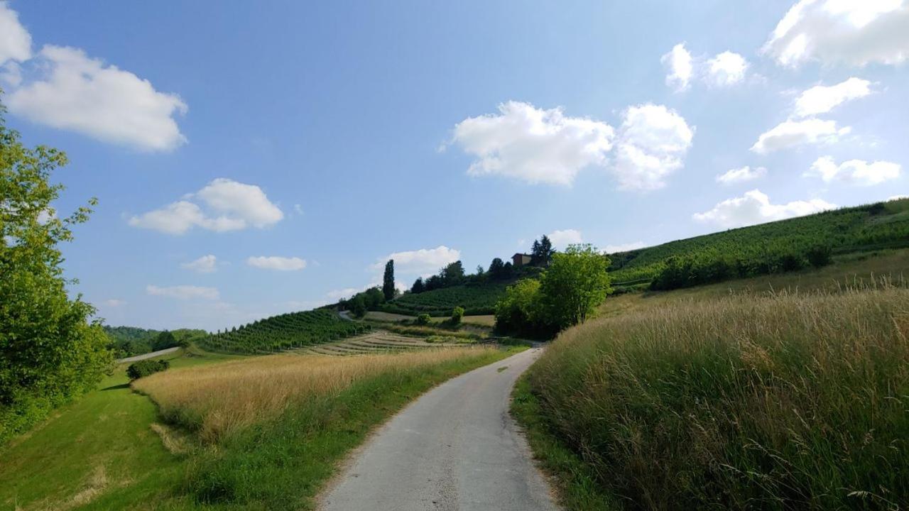 Bed and Breakfast La Volpe tra le Vigne view 2