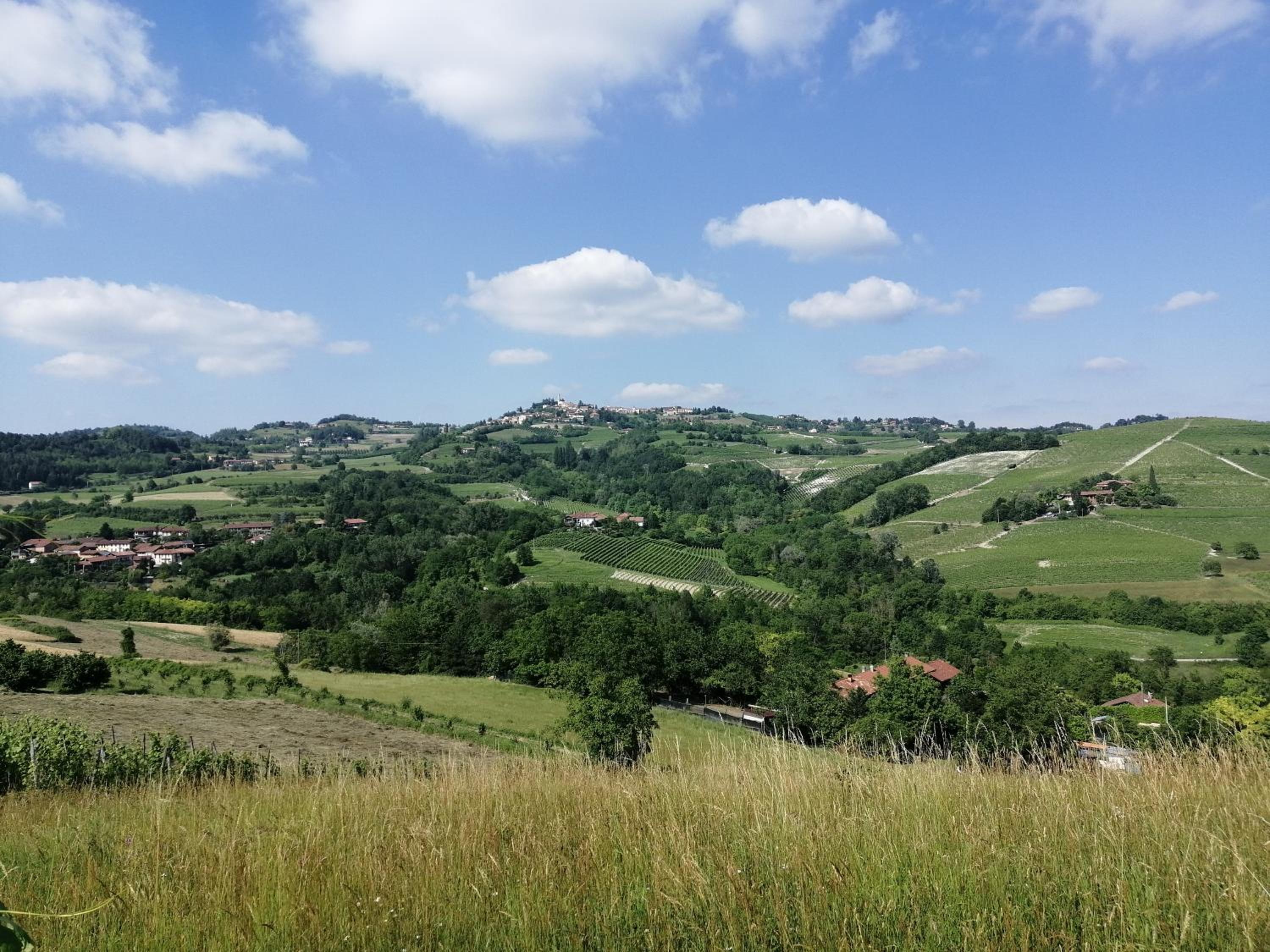 Bed and Breakfast La Volpe tra le Vigne view 4
