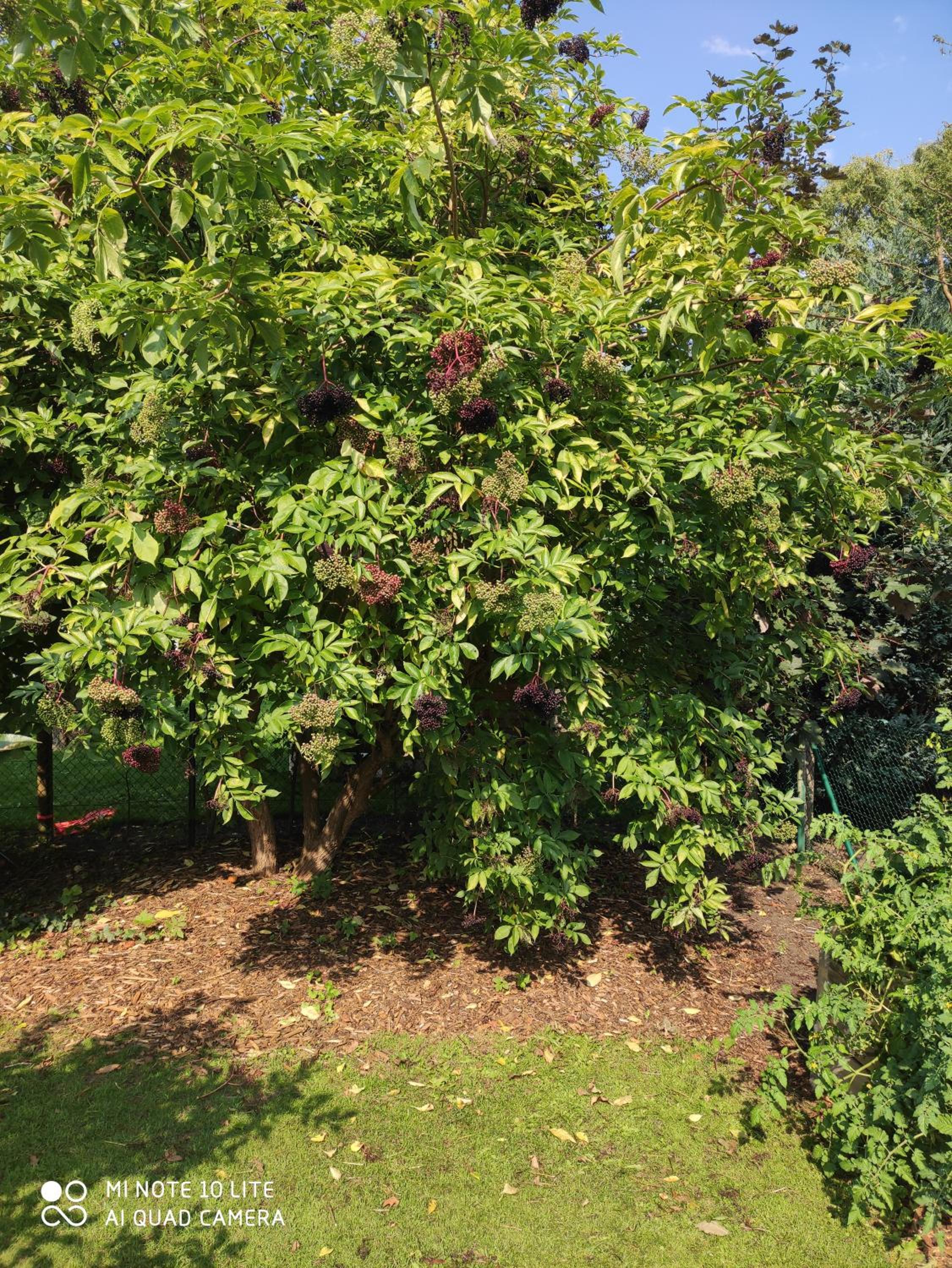 Photo 26
