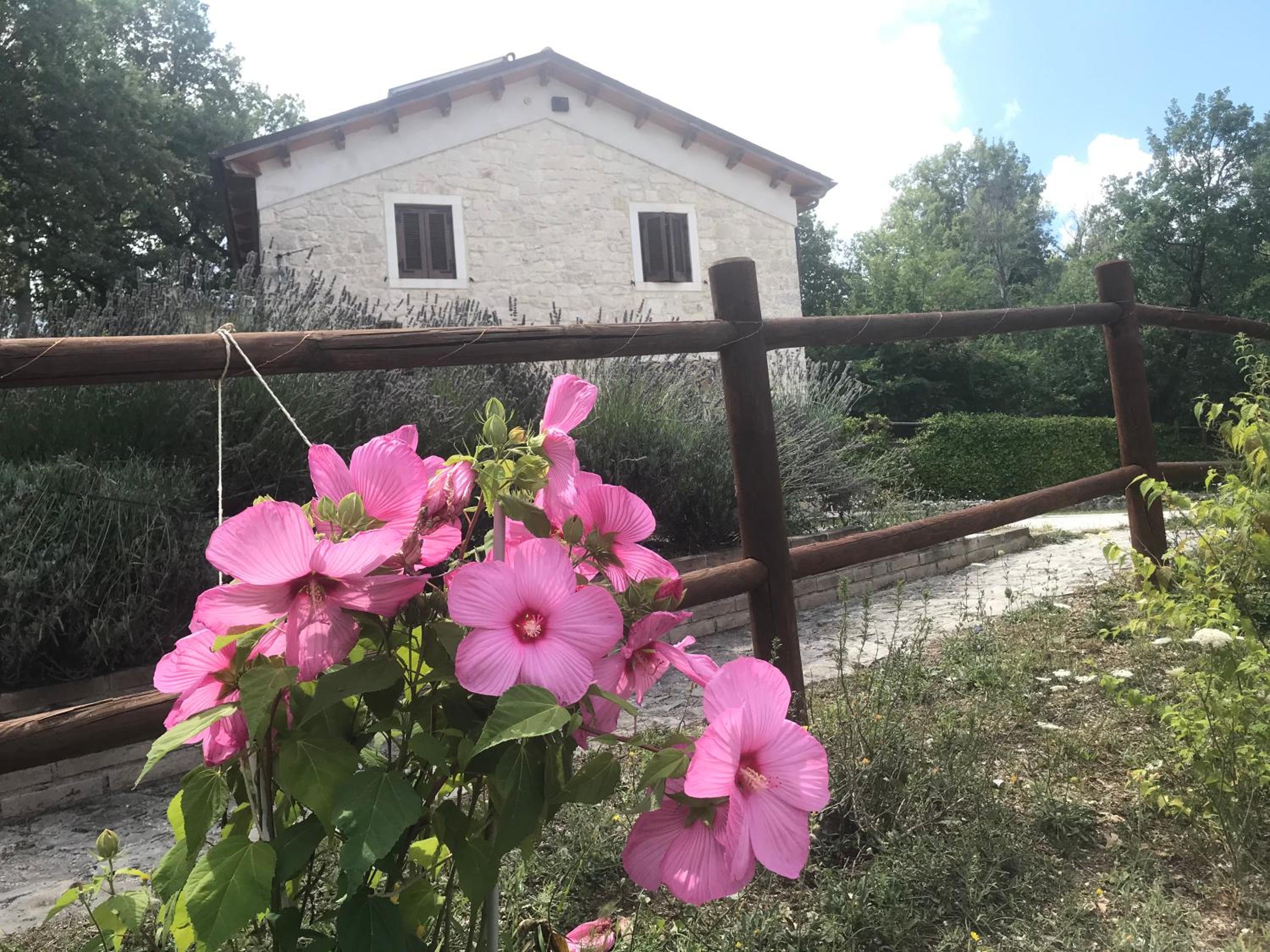 Country House Antiche Dimore