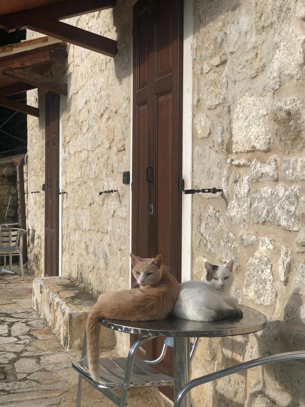 Country House Antiche Dimore
