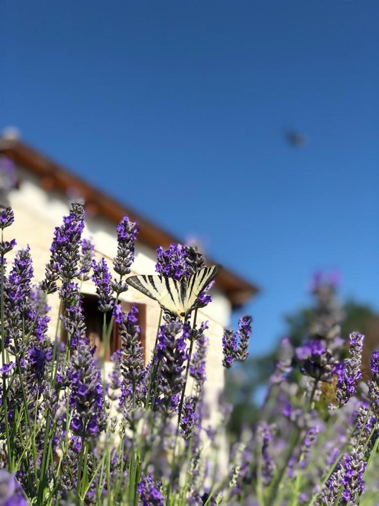 Country House Antiche Dimore