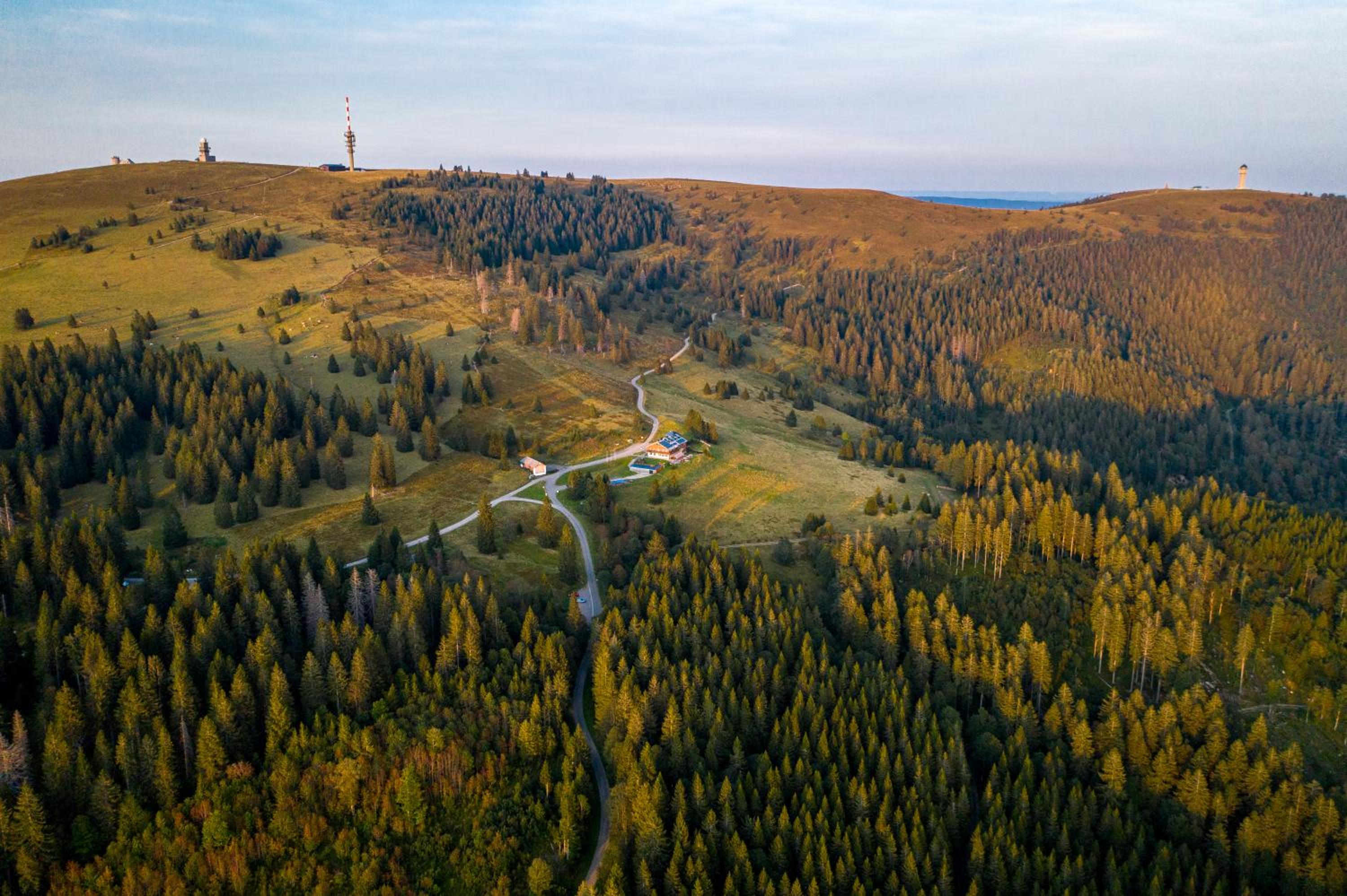 Berggasthof zur Todtnauer Hütte