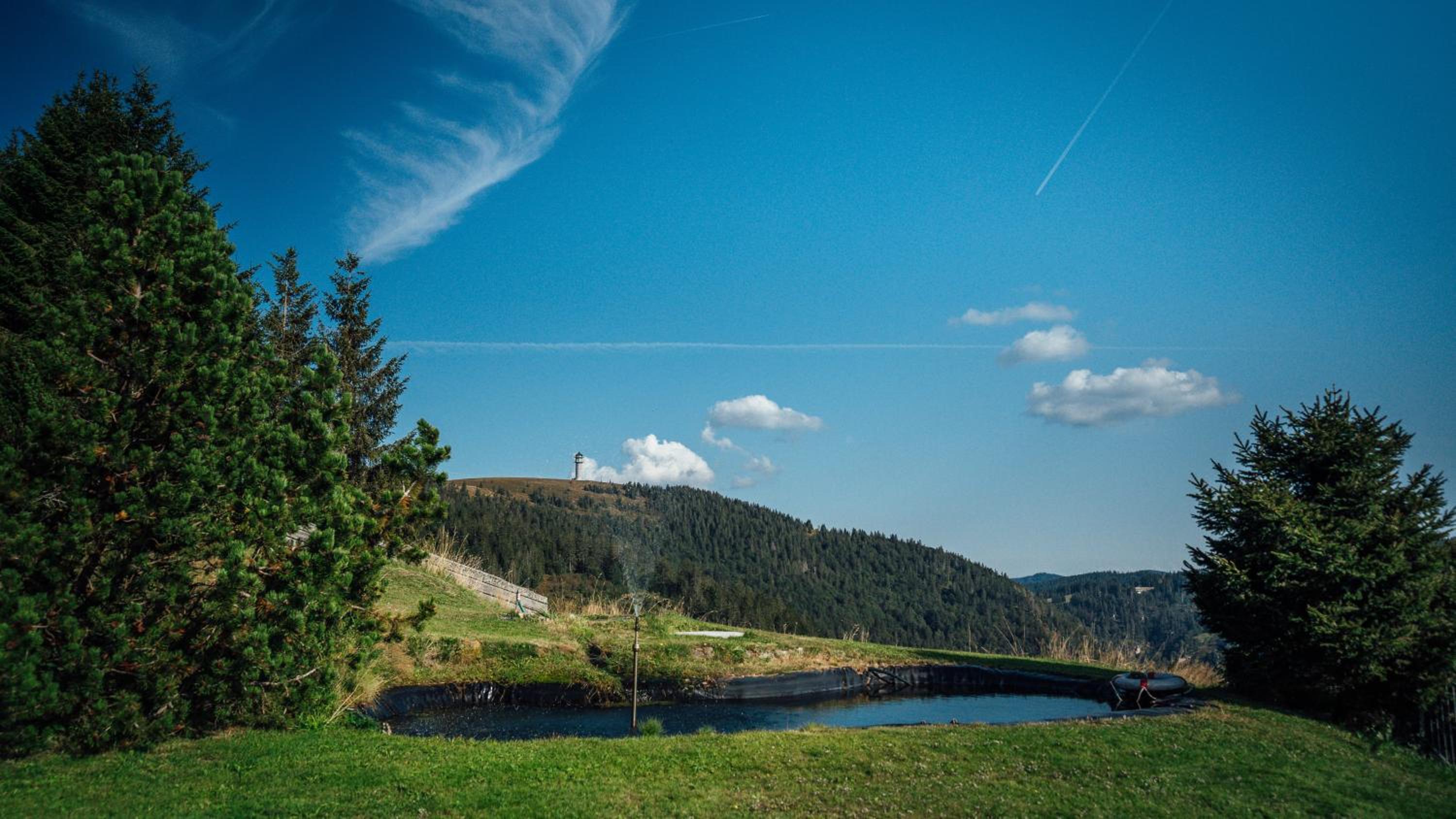 Berggasthof zur Todtnauer Hütte