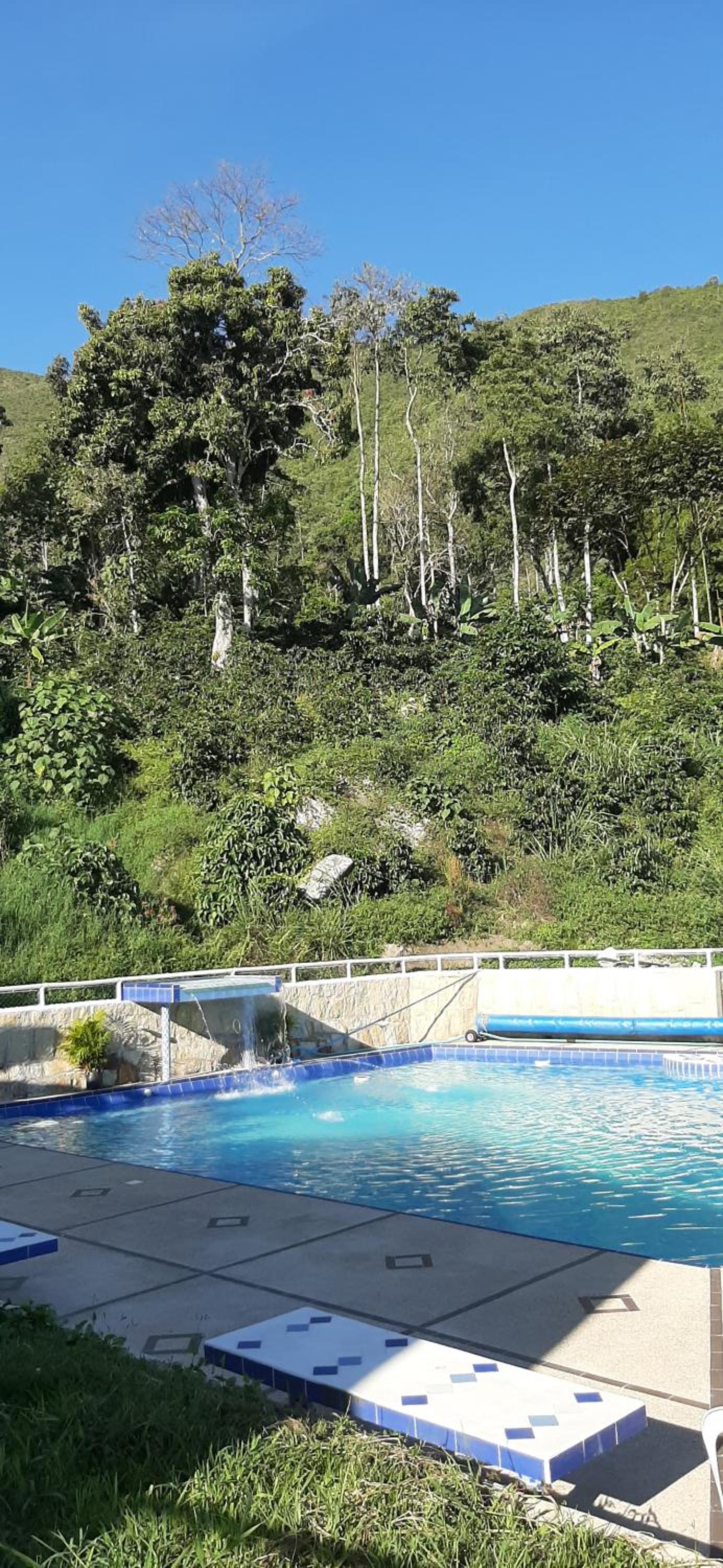 Las Mercedes Finca Cafetera
