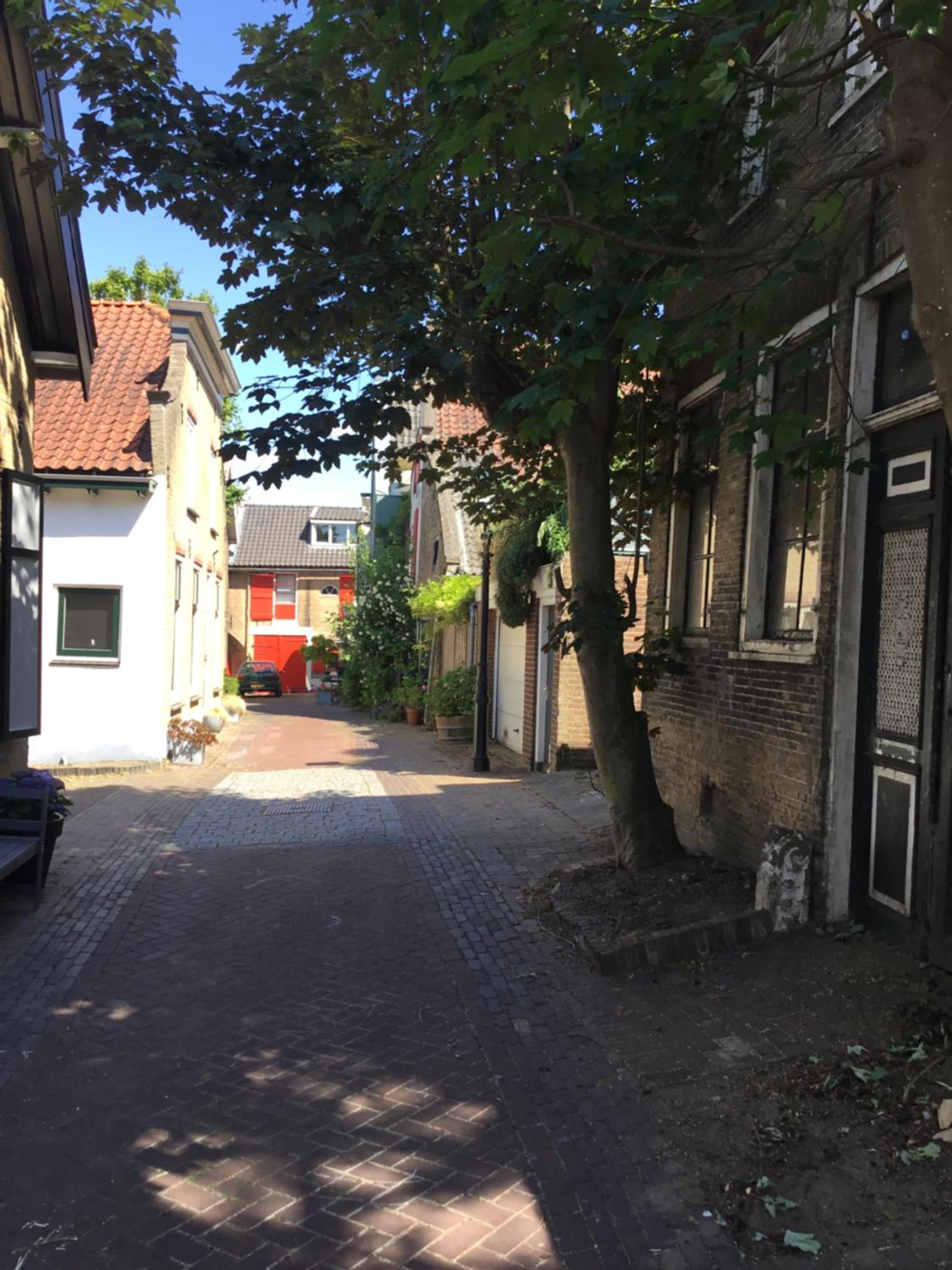 Photo 29