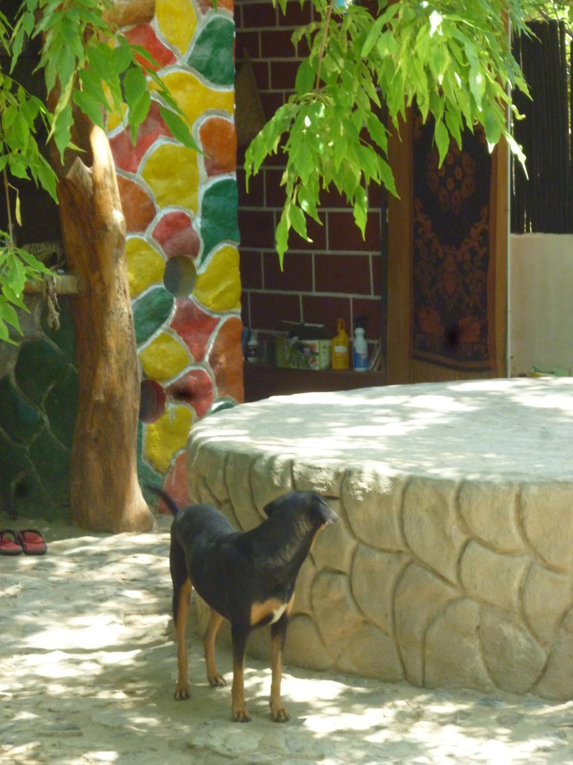 Casa Bella