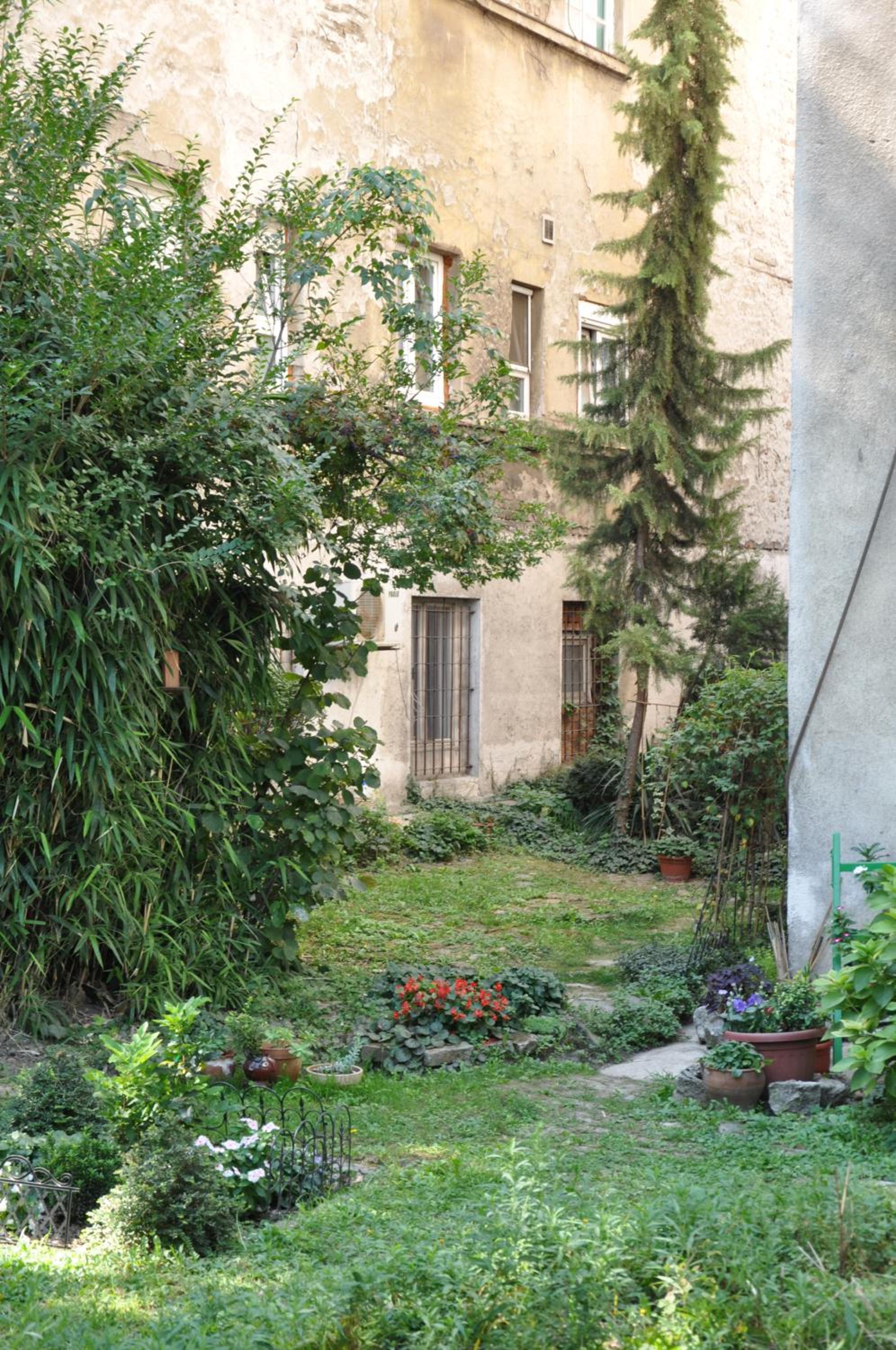 Photo 35