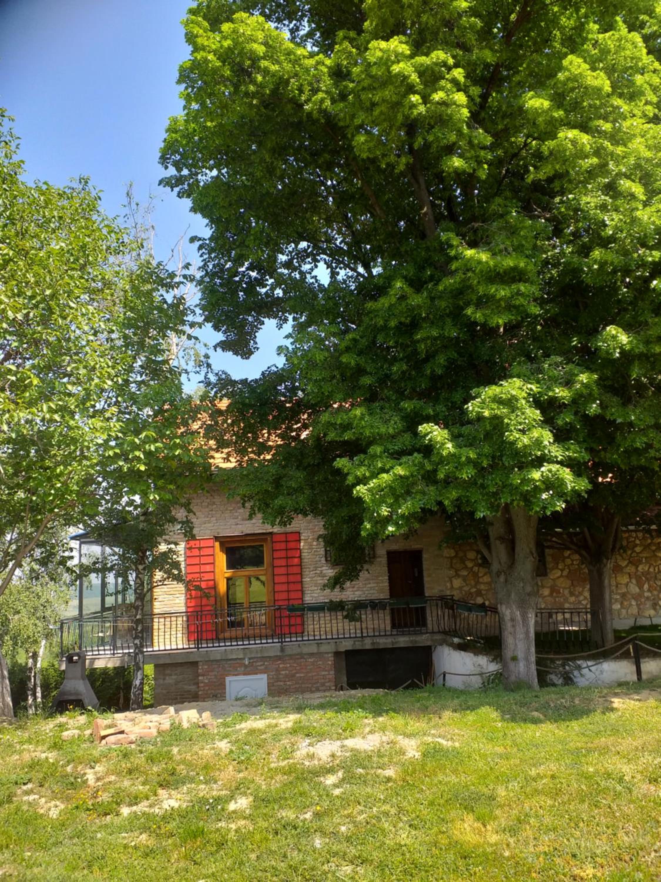 Photo 18