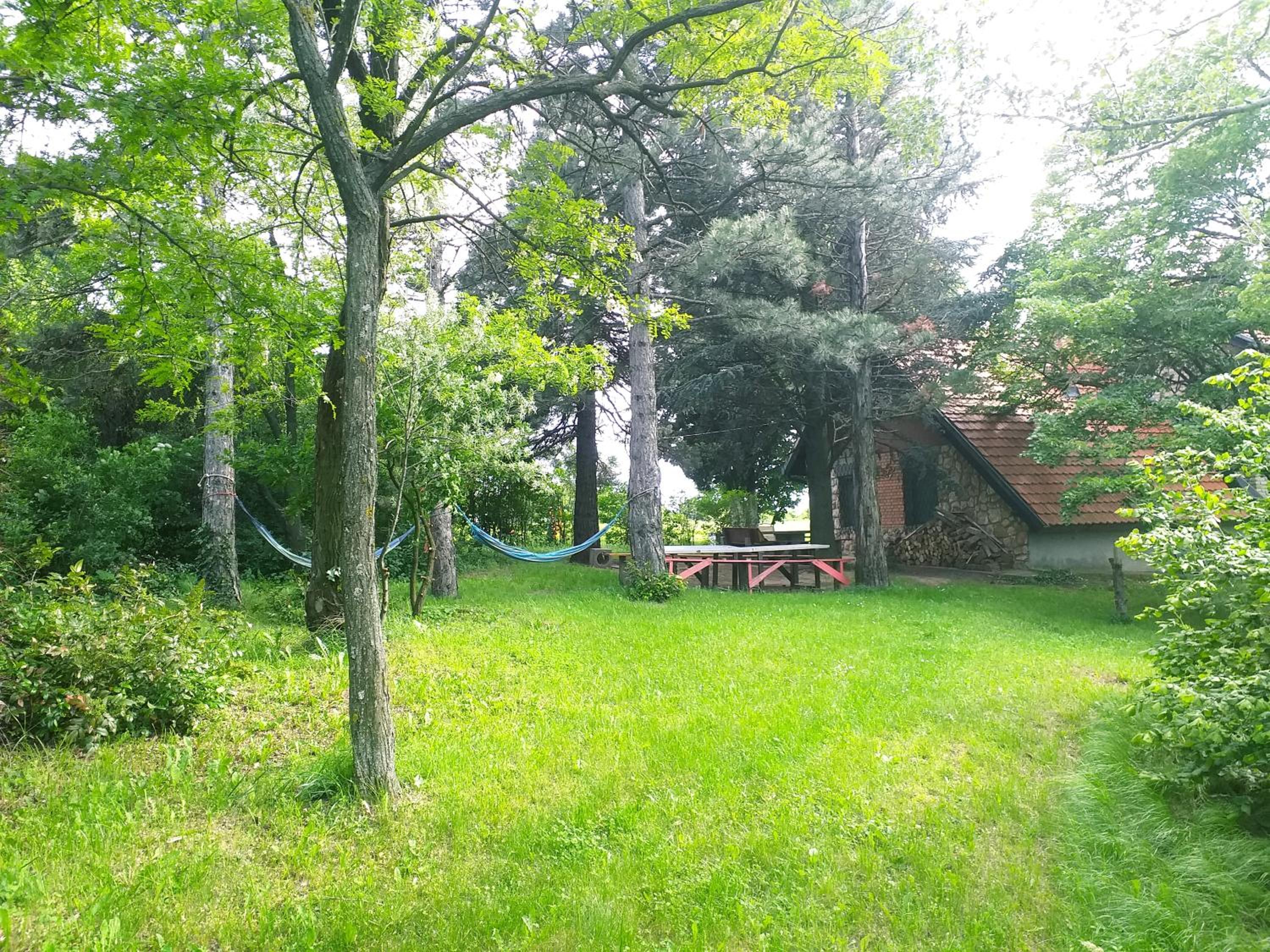 Photo 19