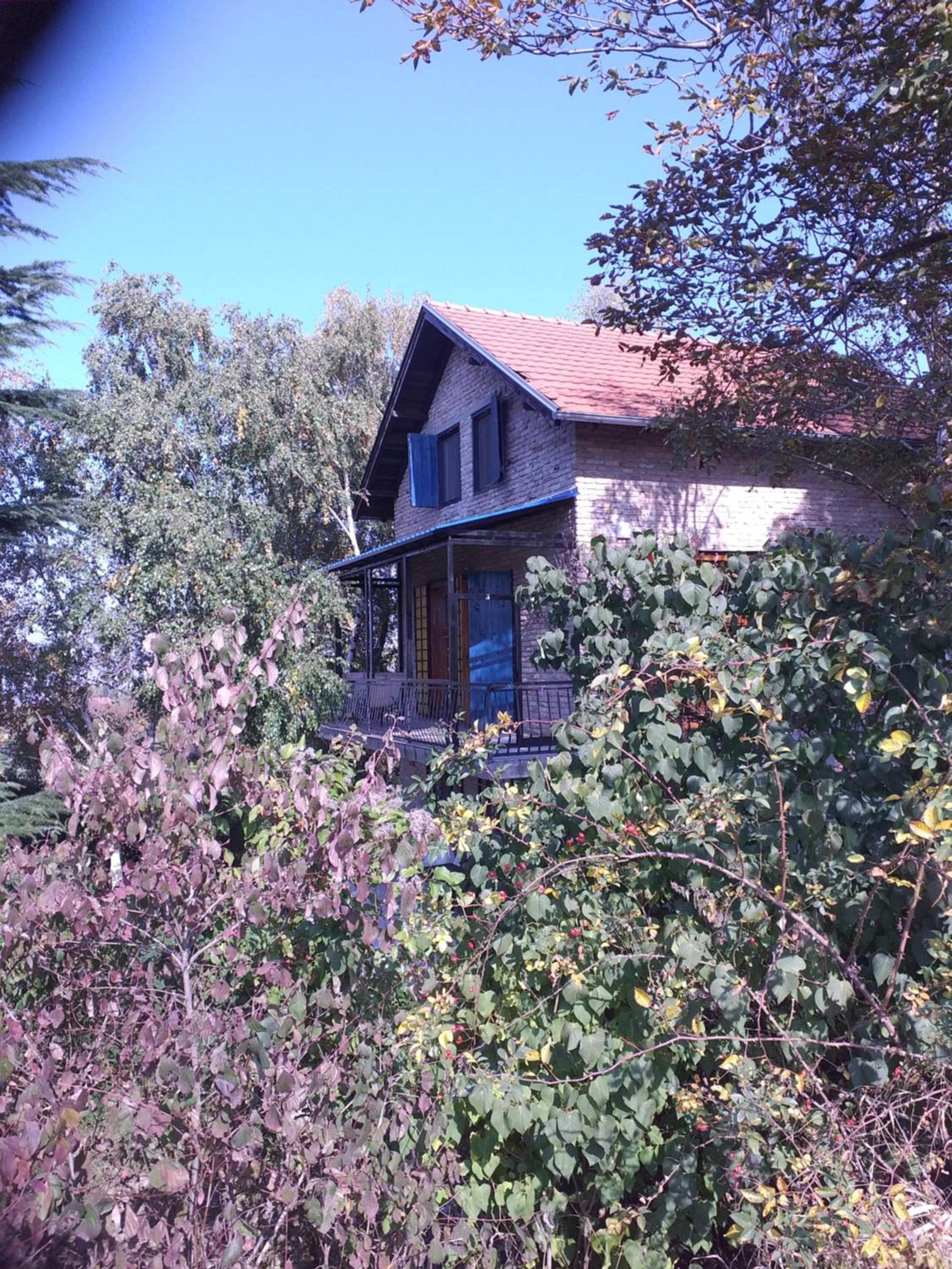 Photo 31
