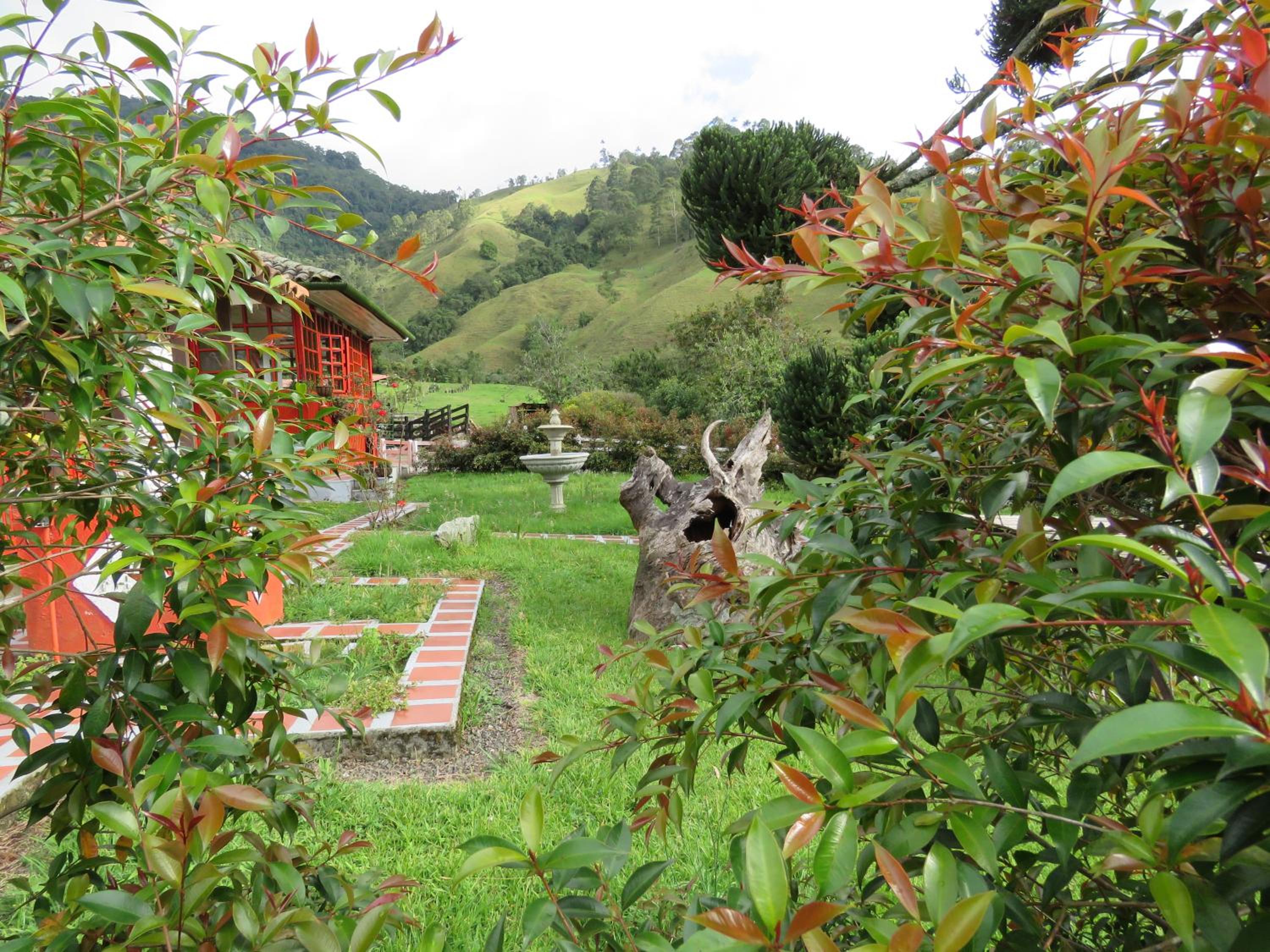 Photo 20