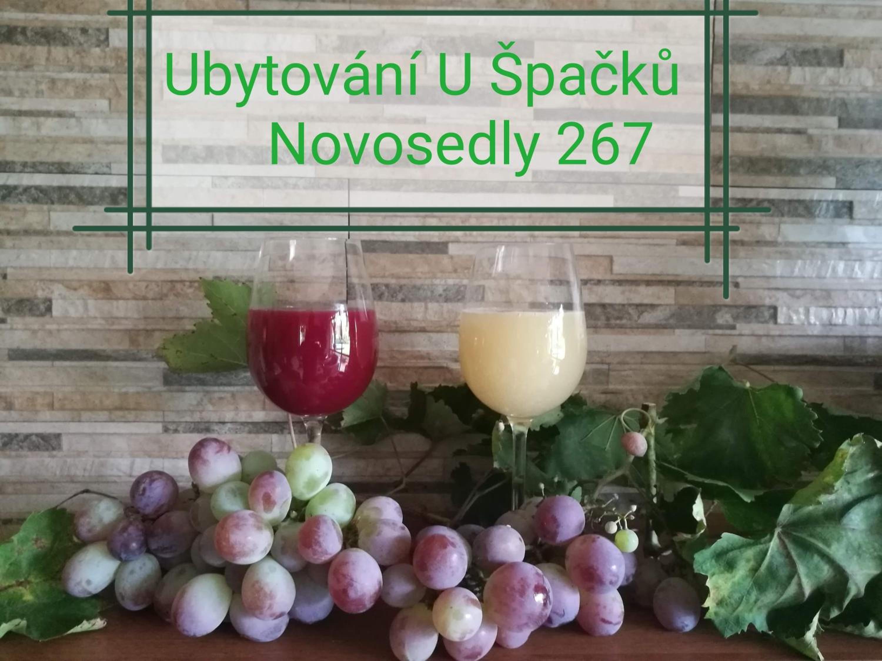 Ubytování U Špačků Pálava