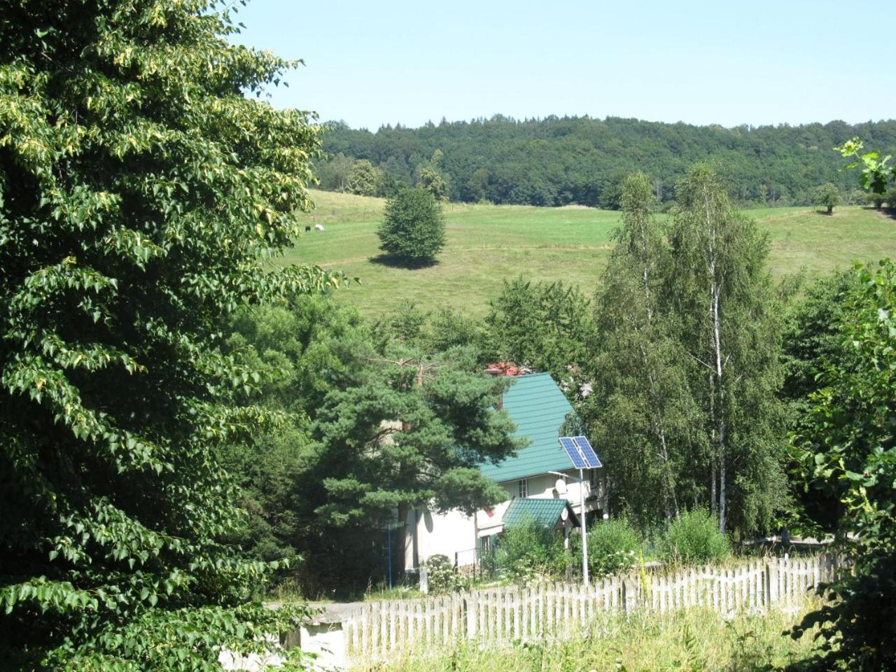 Photo 20
