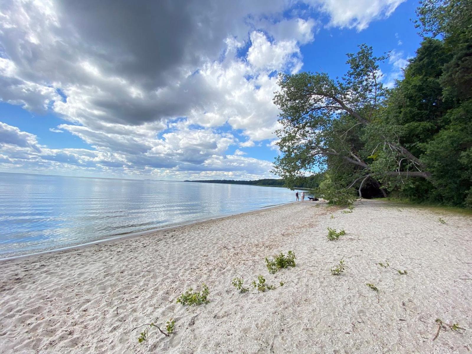 Inselgluck Usedom - Property Image 39