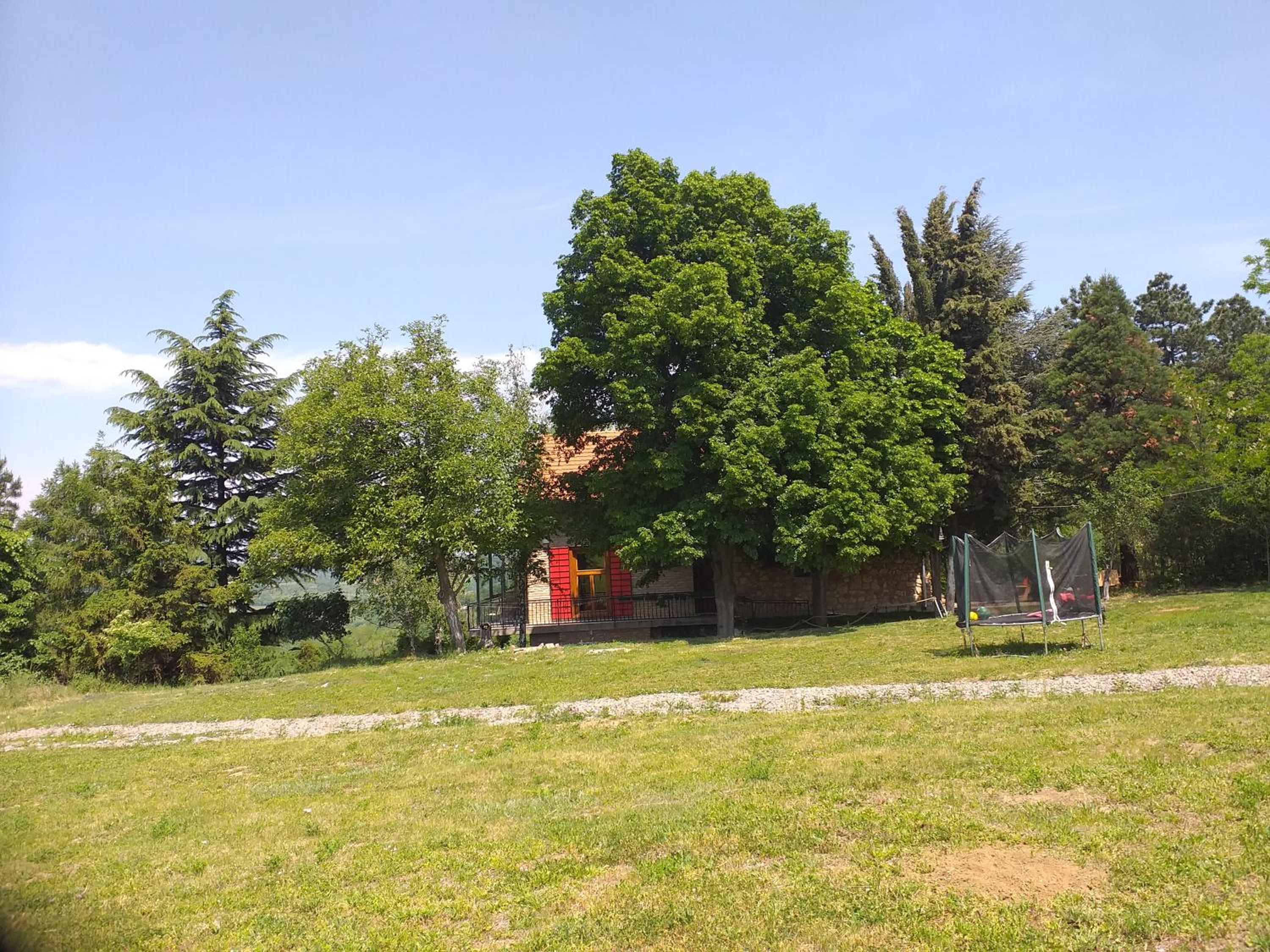 Photo 12