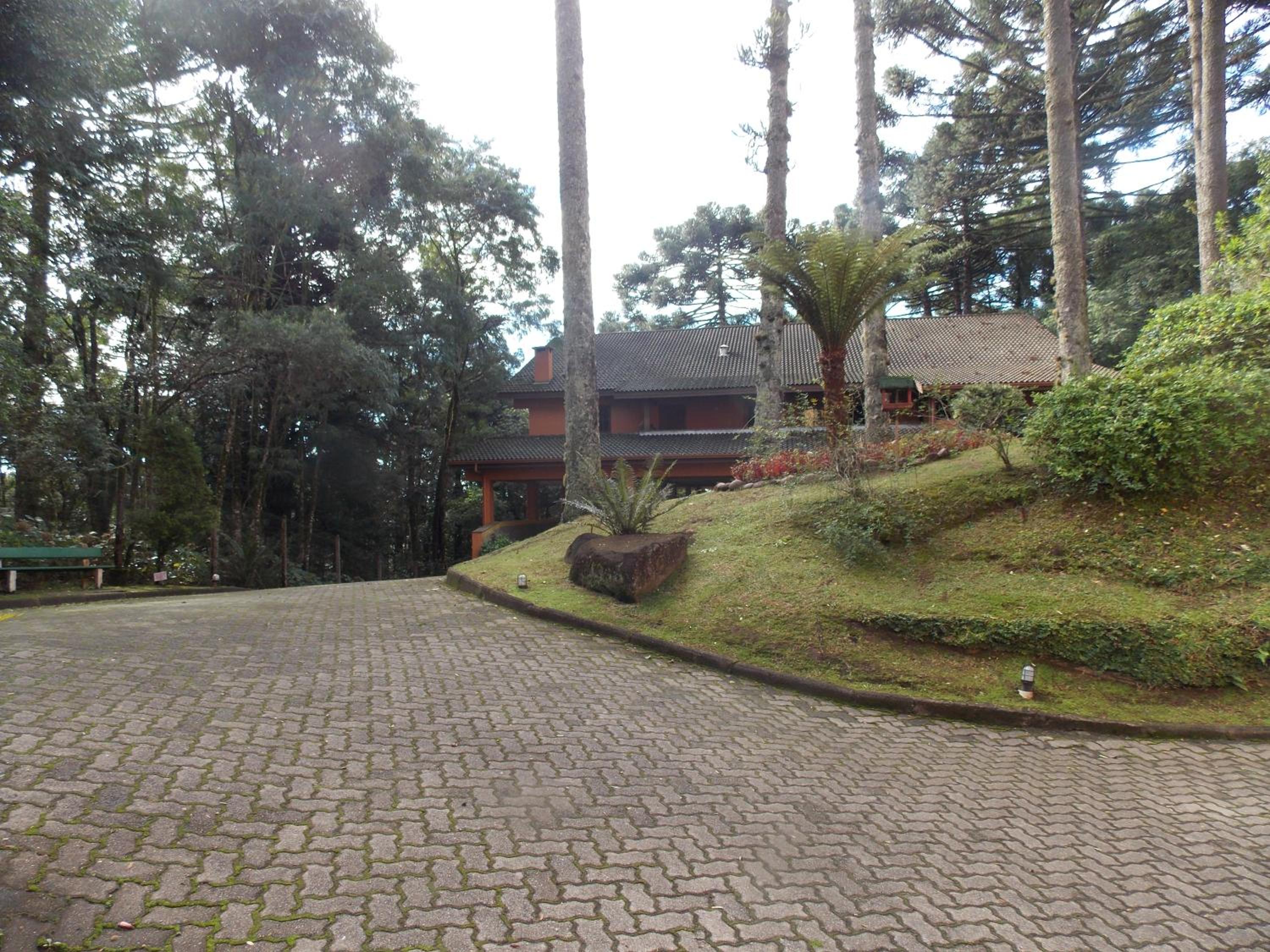 Photo 45