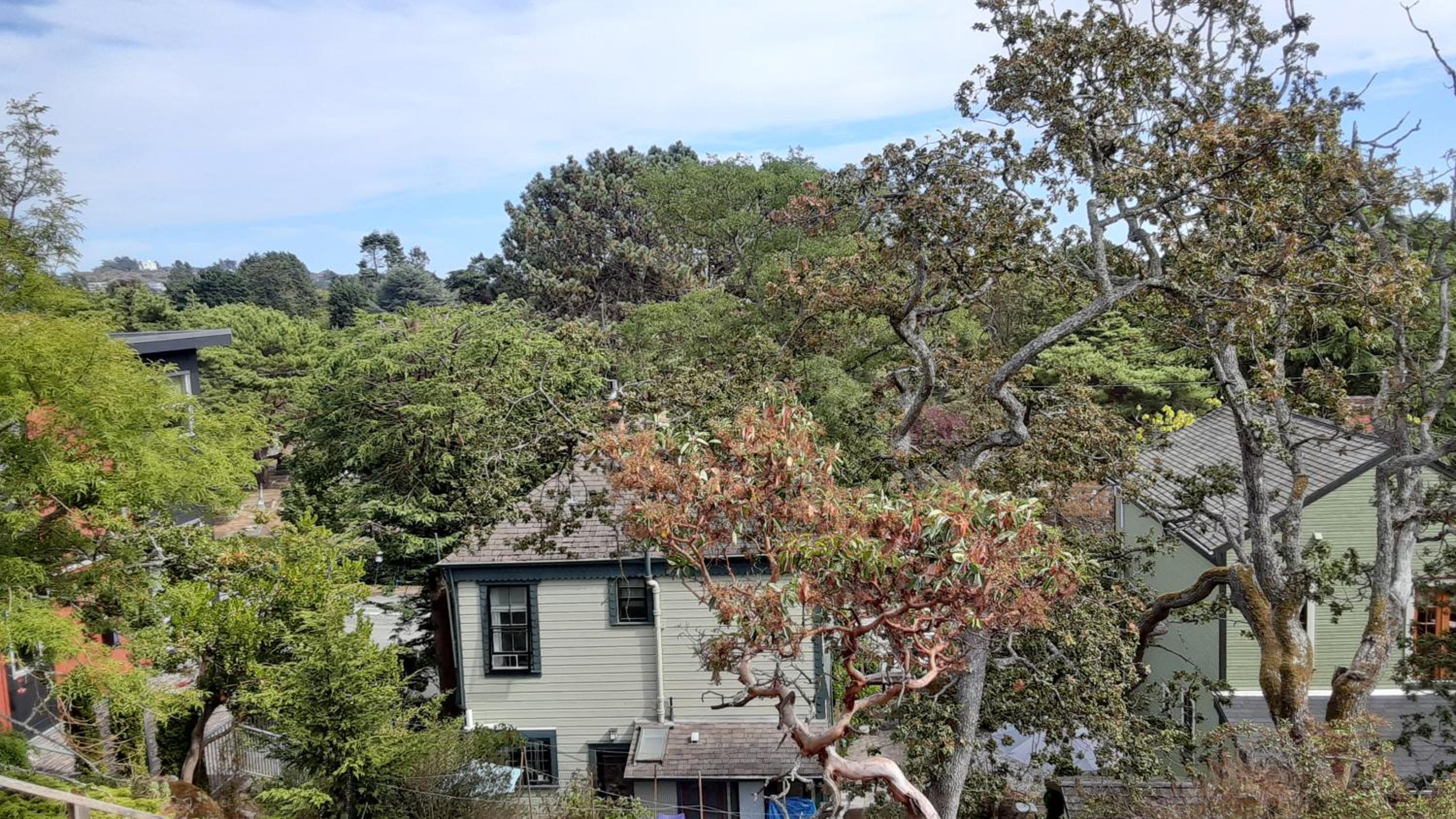 Sea Birds Cottage