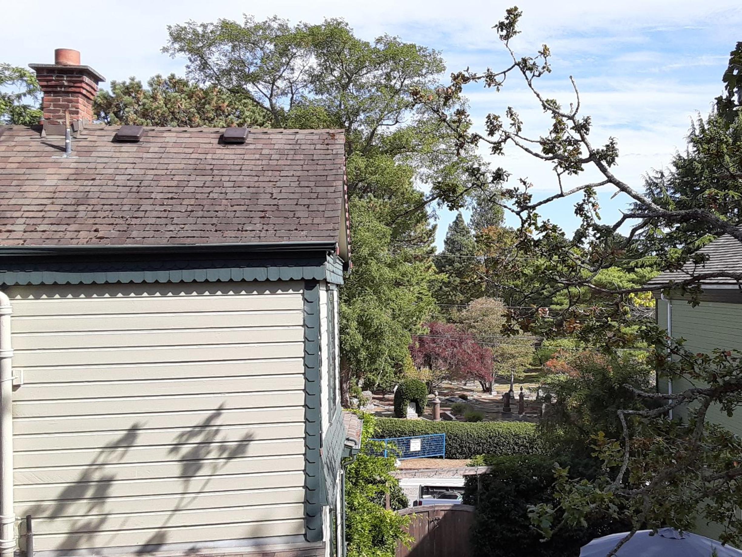 Sea Birds Cottage