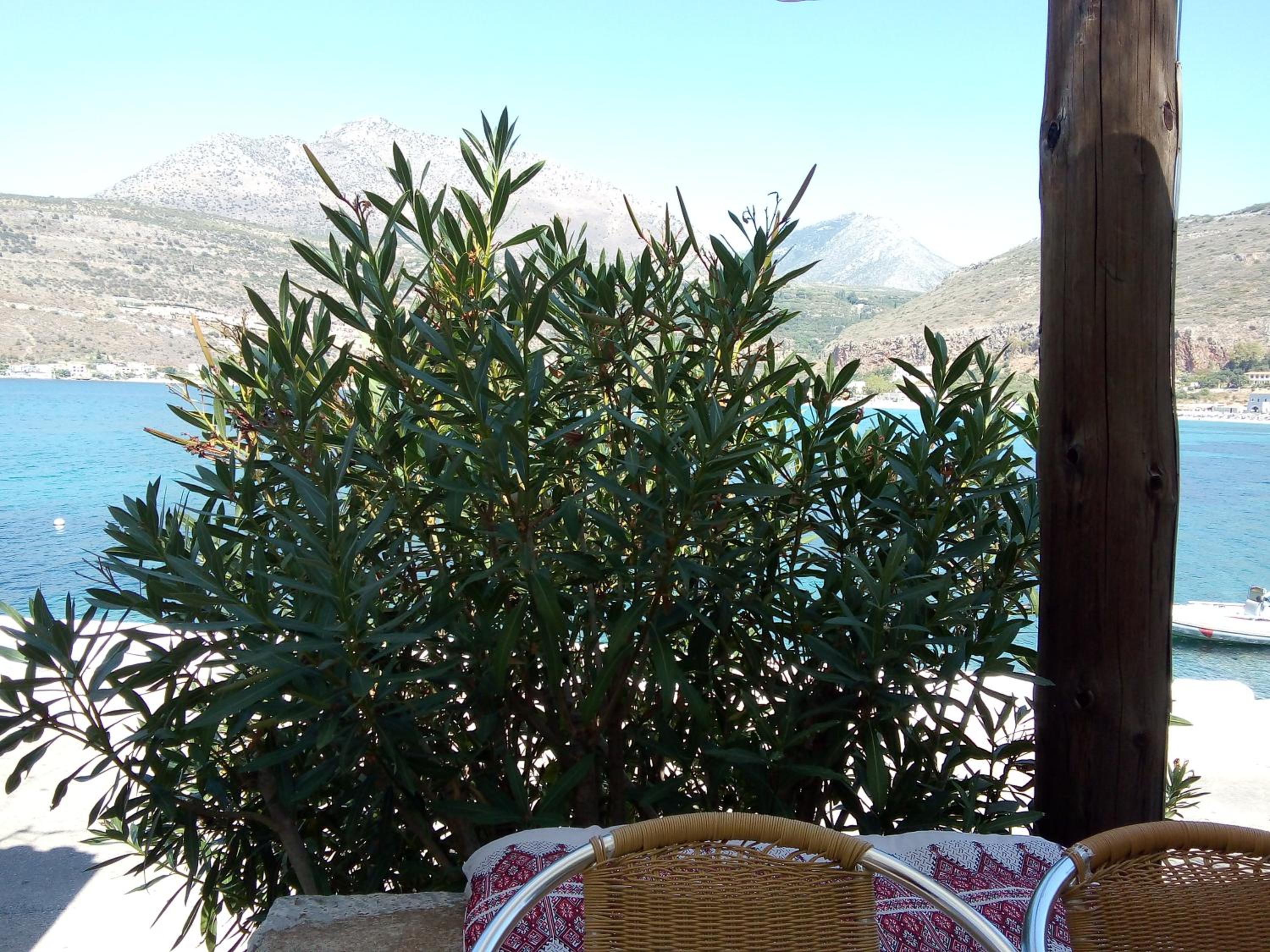 Amphitrite's House view 5