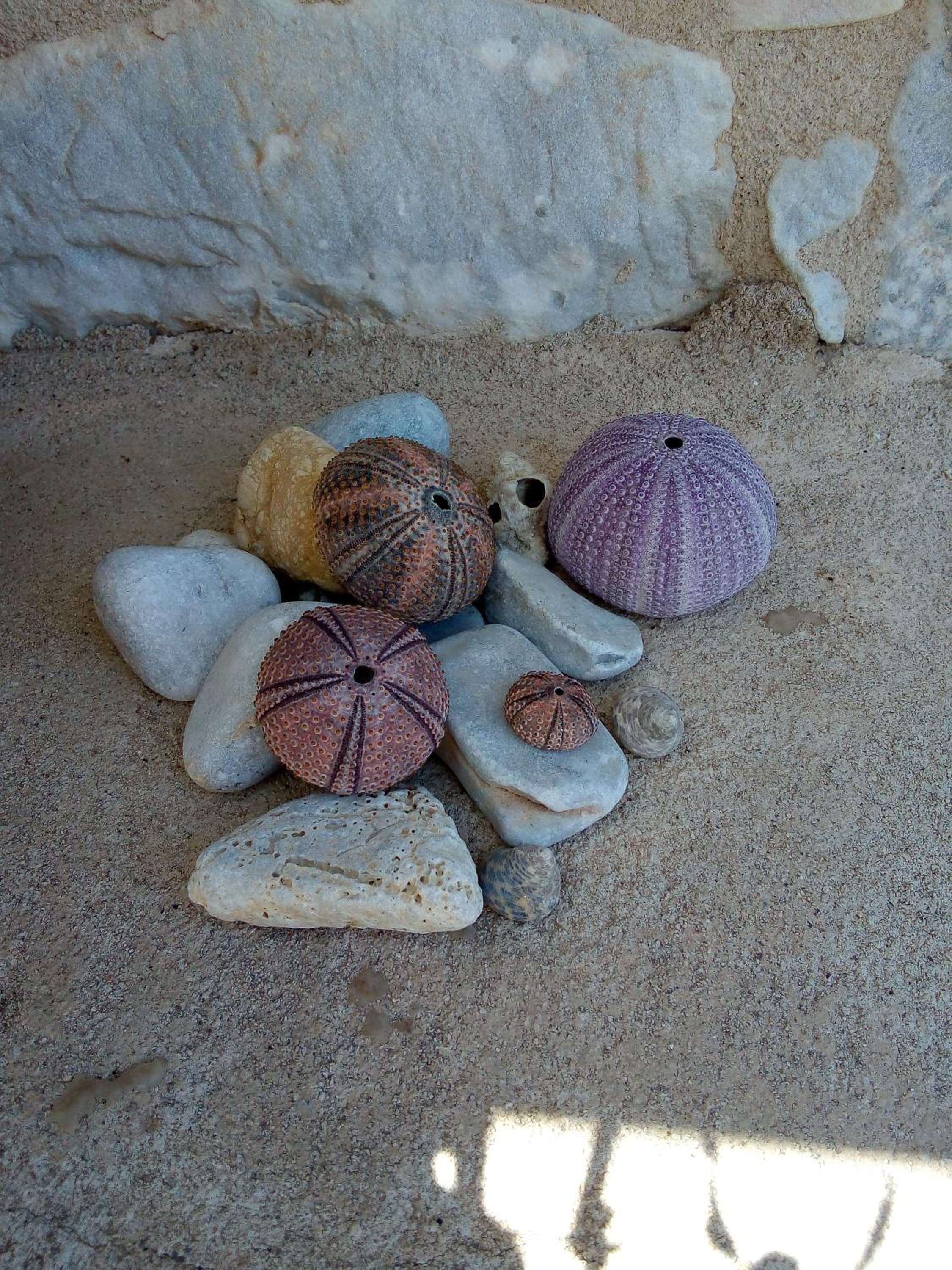 Amphitrite's House view 3