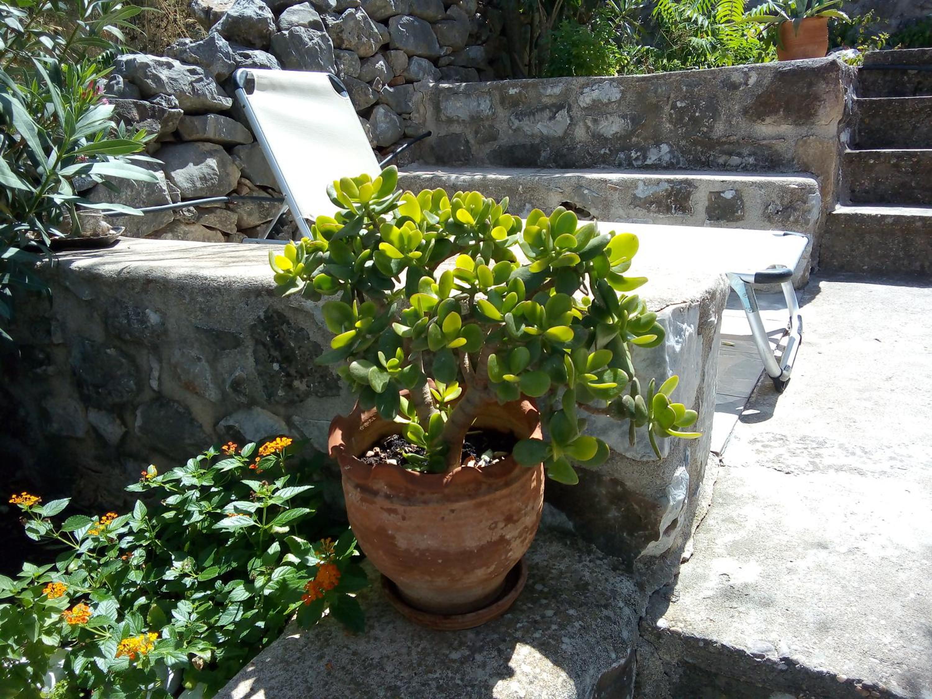 Amphitrite's House view 2