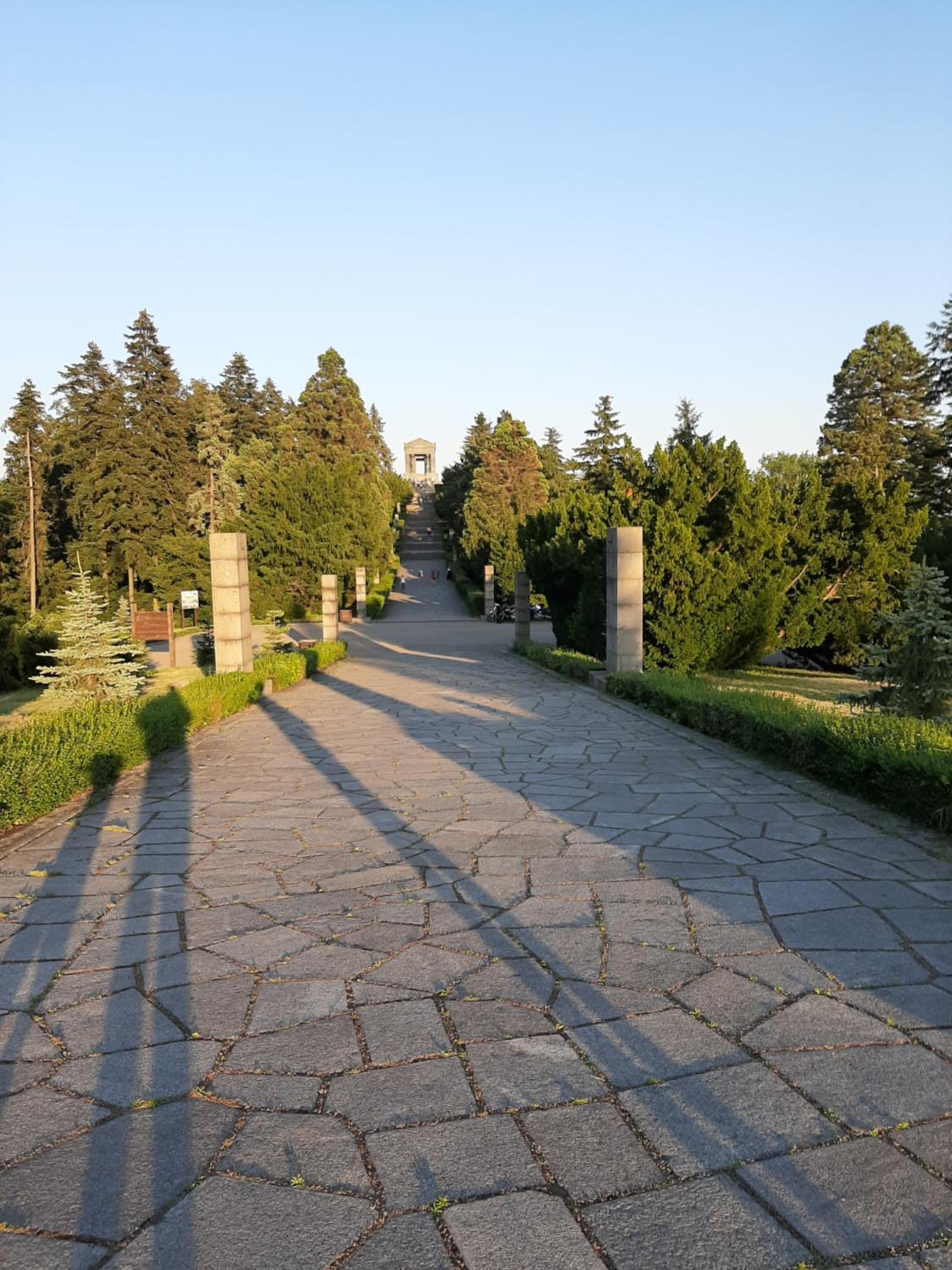 Photo 29