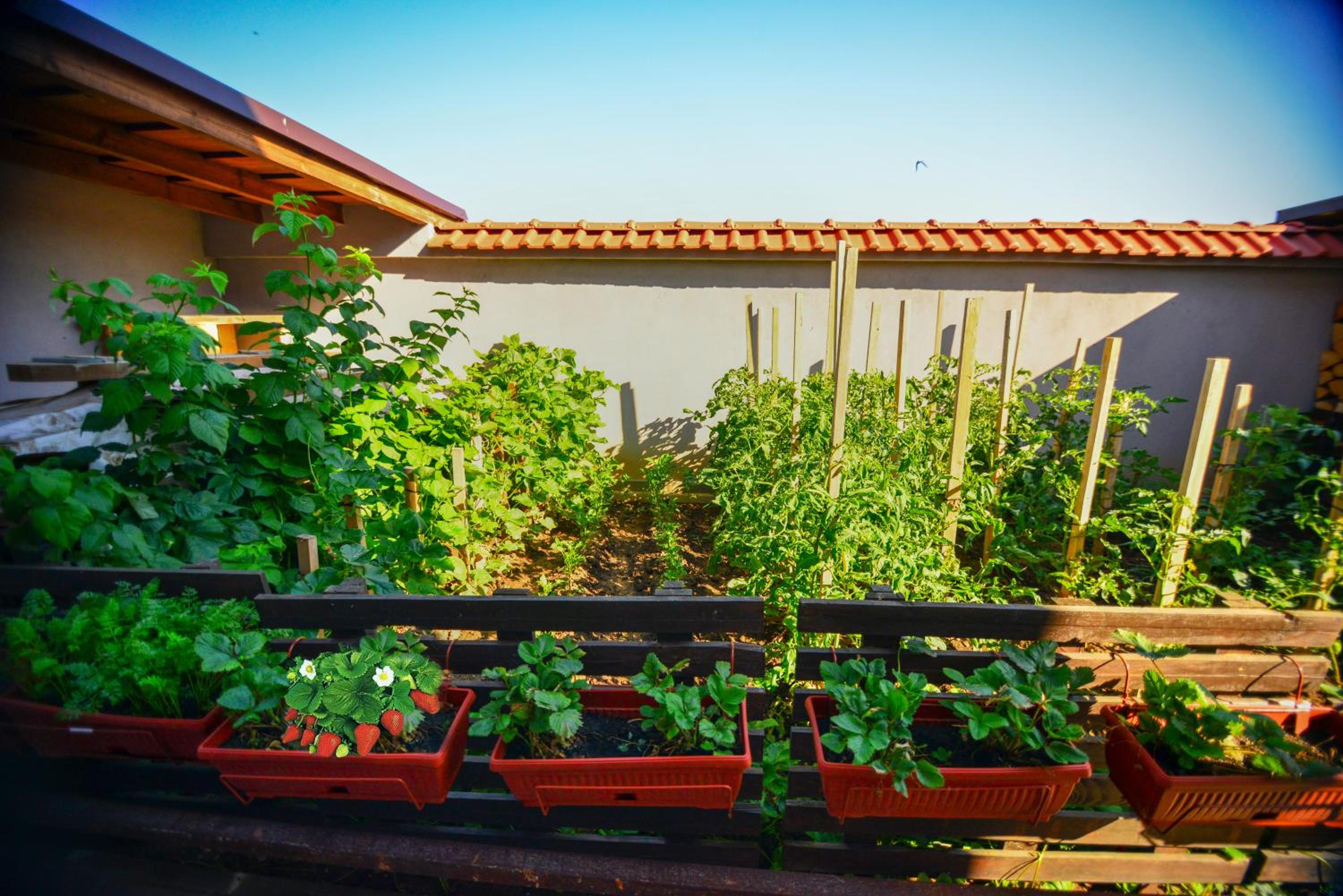 KATERINA guest house