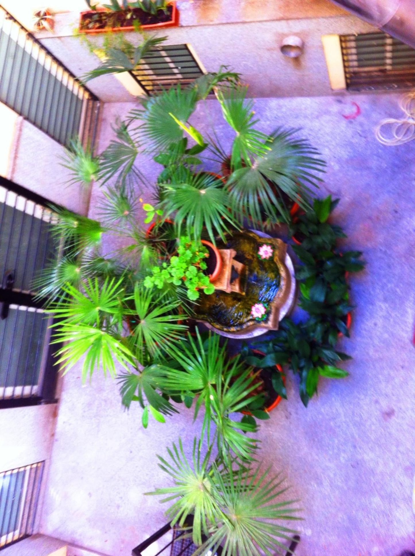 Hostal La Fontana