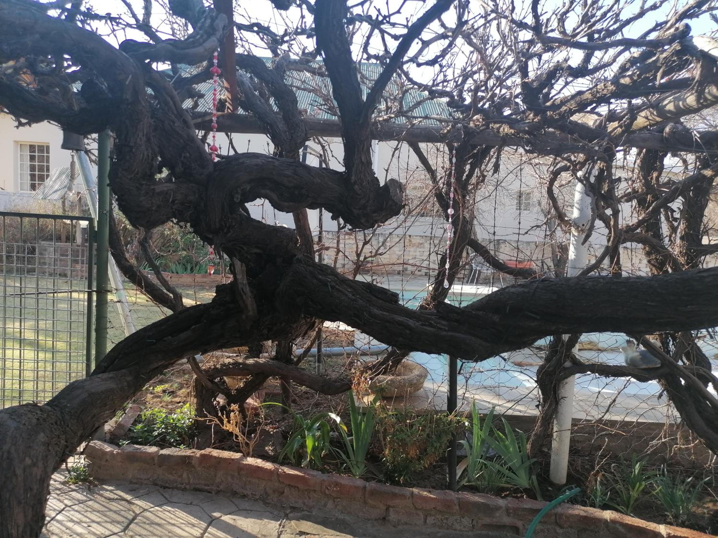 Anker Guesthouse