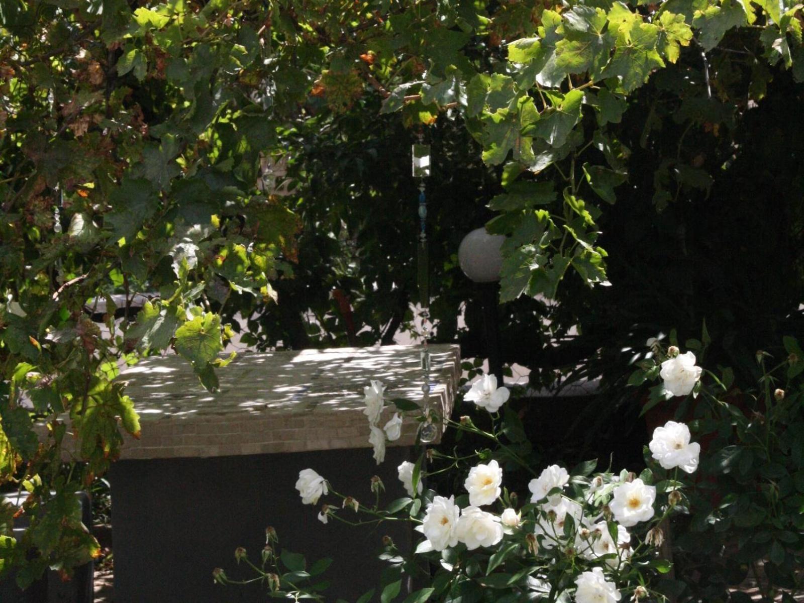 Anker Guesthouse