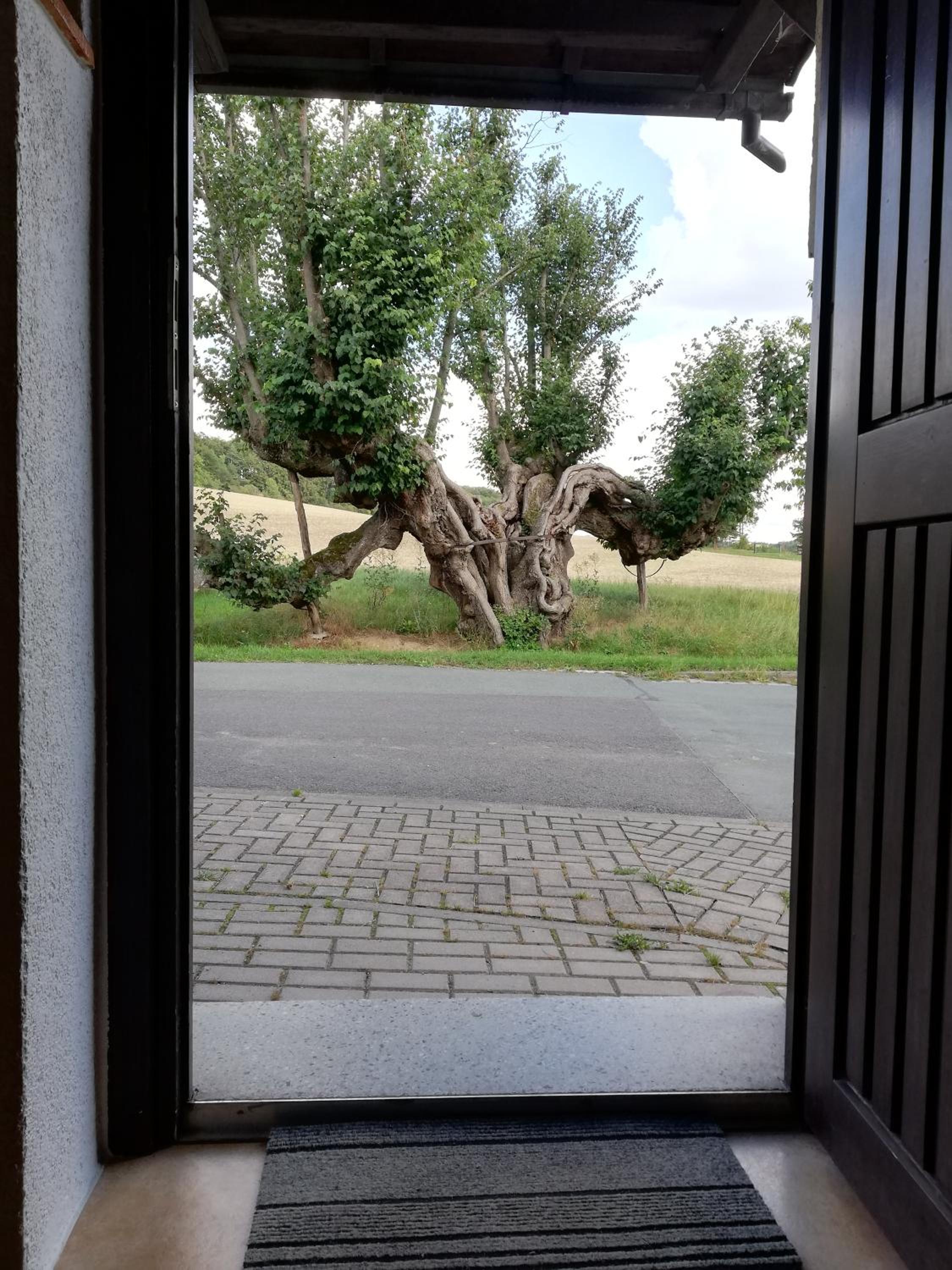 FeWo Gutendorf
