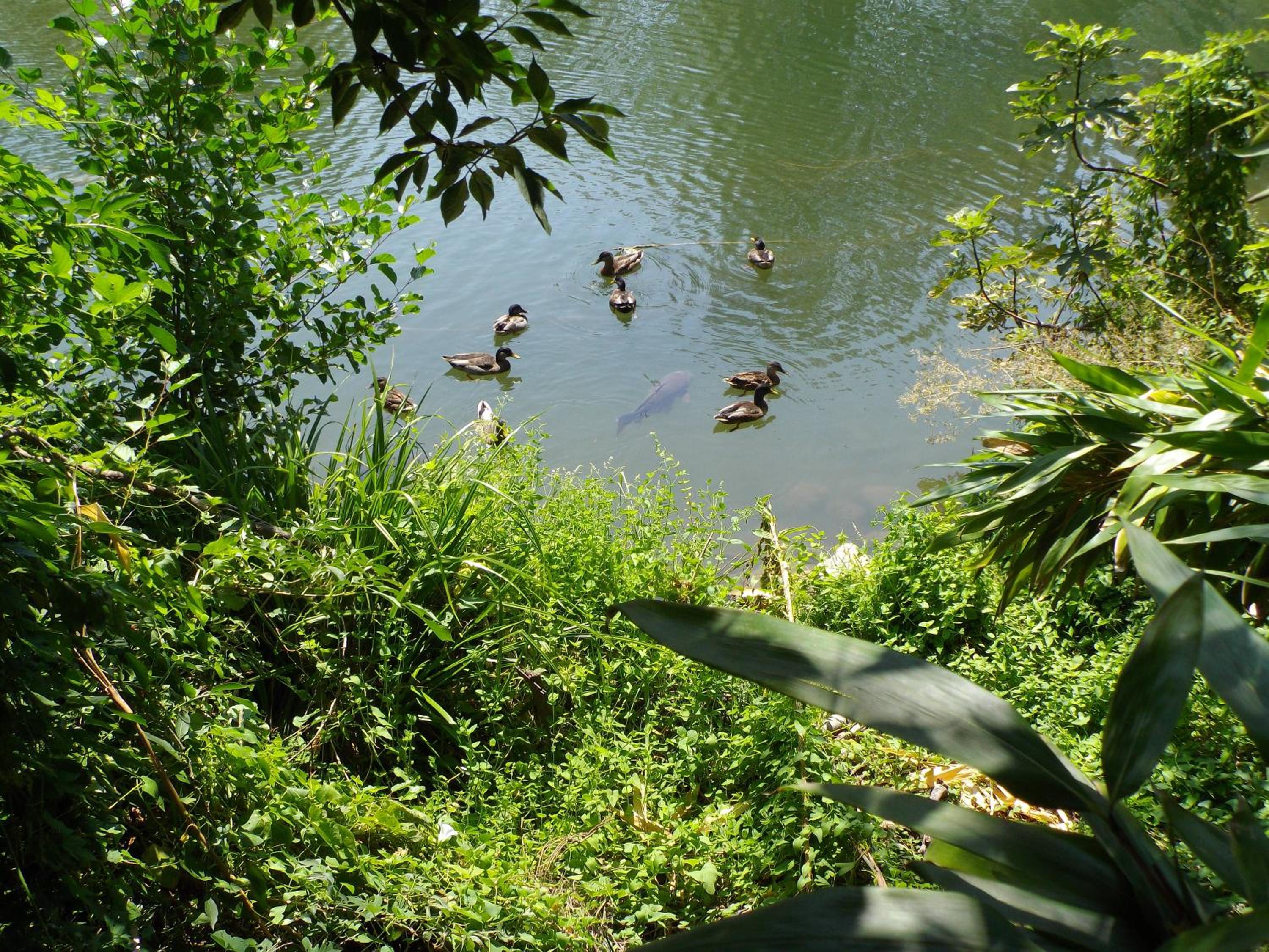 Photo 15
